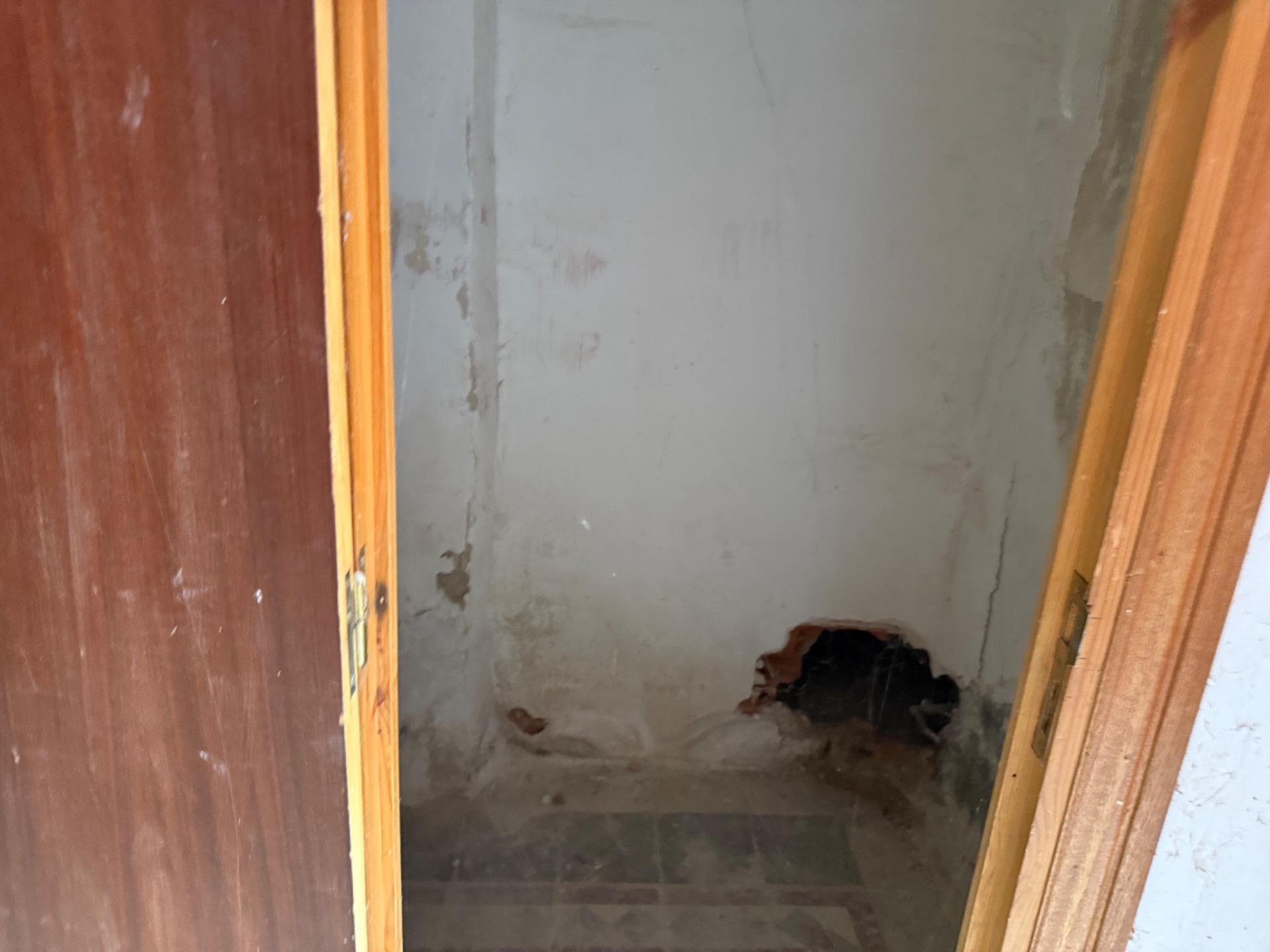 Pisos-Venta-Olmedo-1768127-Foto-49