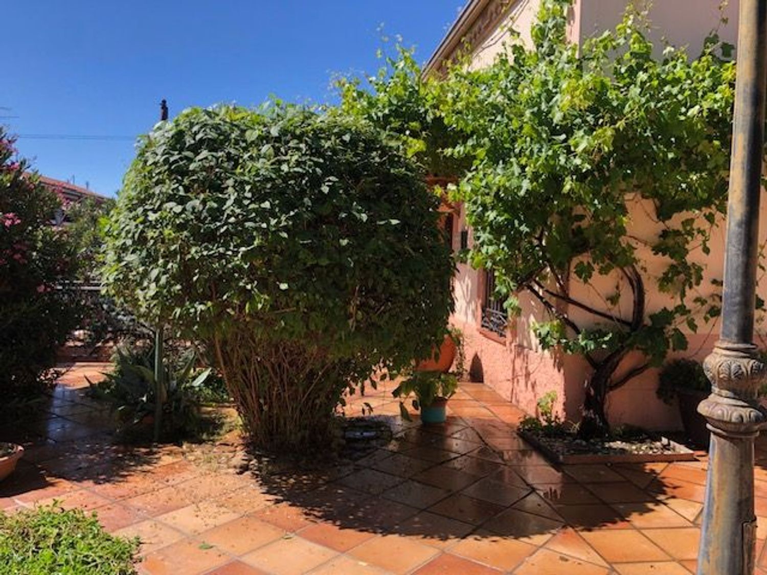 Casas o chalets-Venta-Azuqueca de Henares-1729665-Foto-17