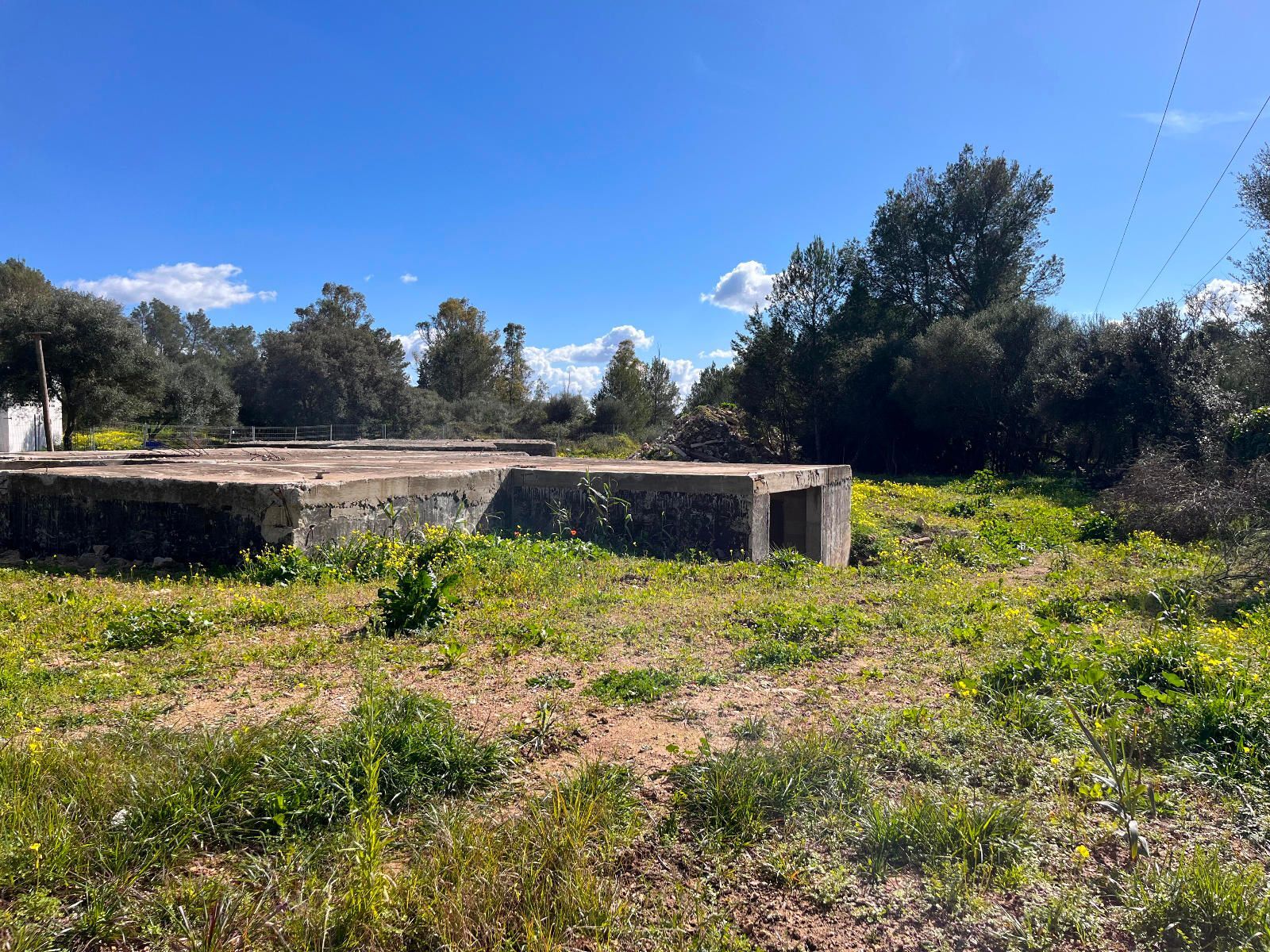 Fincas y solares-Venta-Sa Pobla-1659773-Foto-2