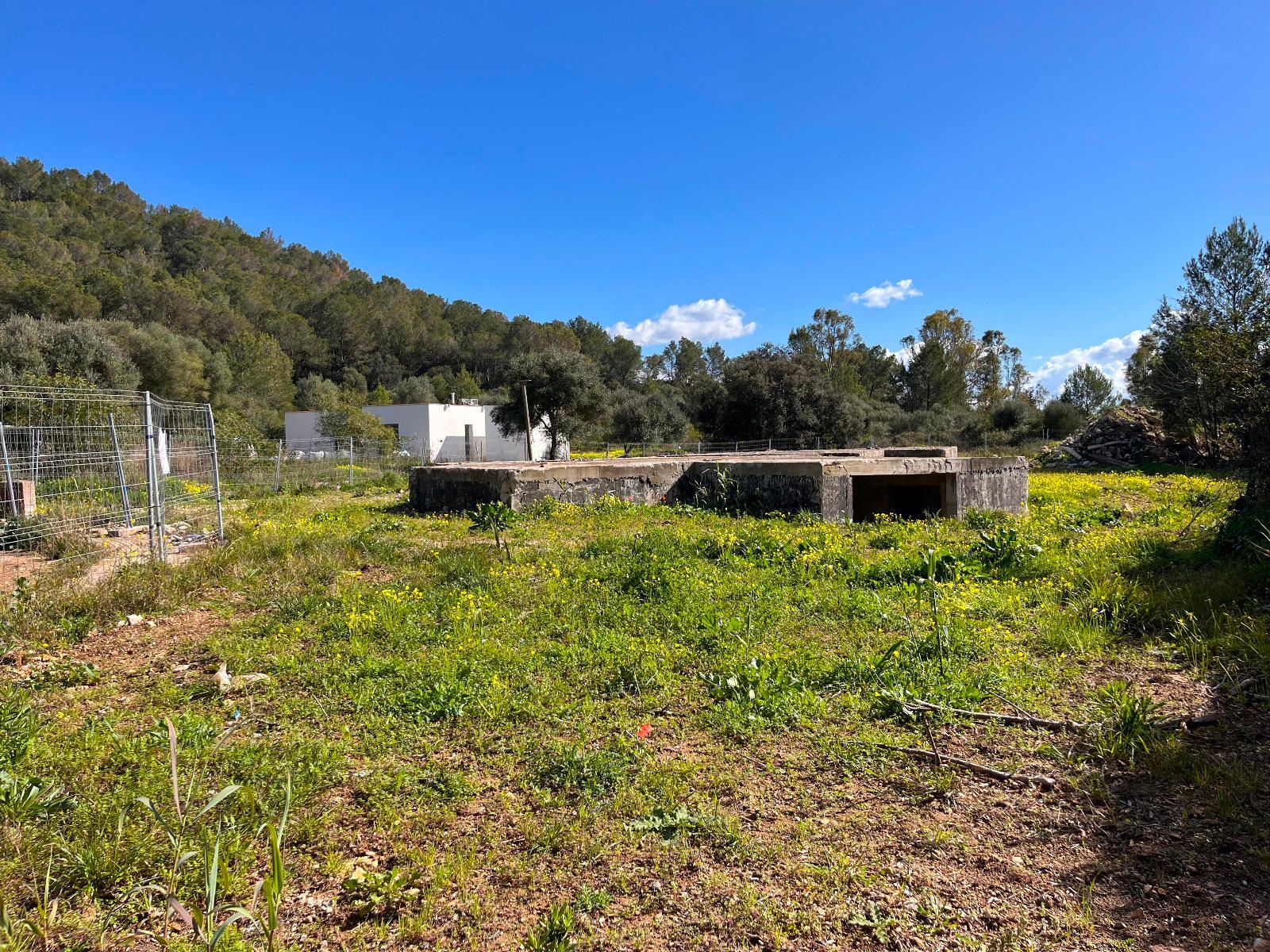 Fincas y solares-Venta-Sa Pobla-1659773