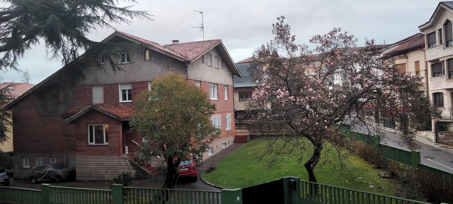Pisos-Venta-Oviedo-1640799-Foto-57