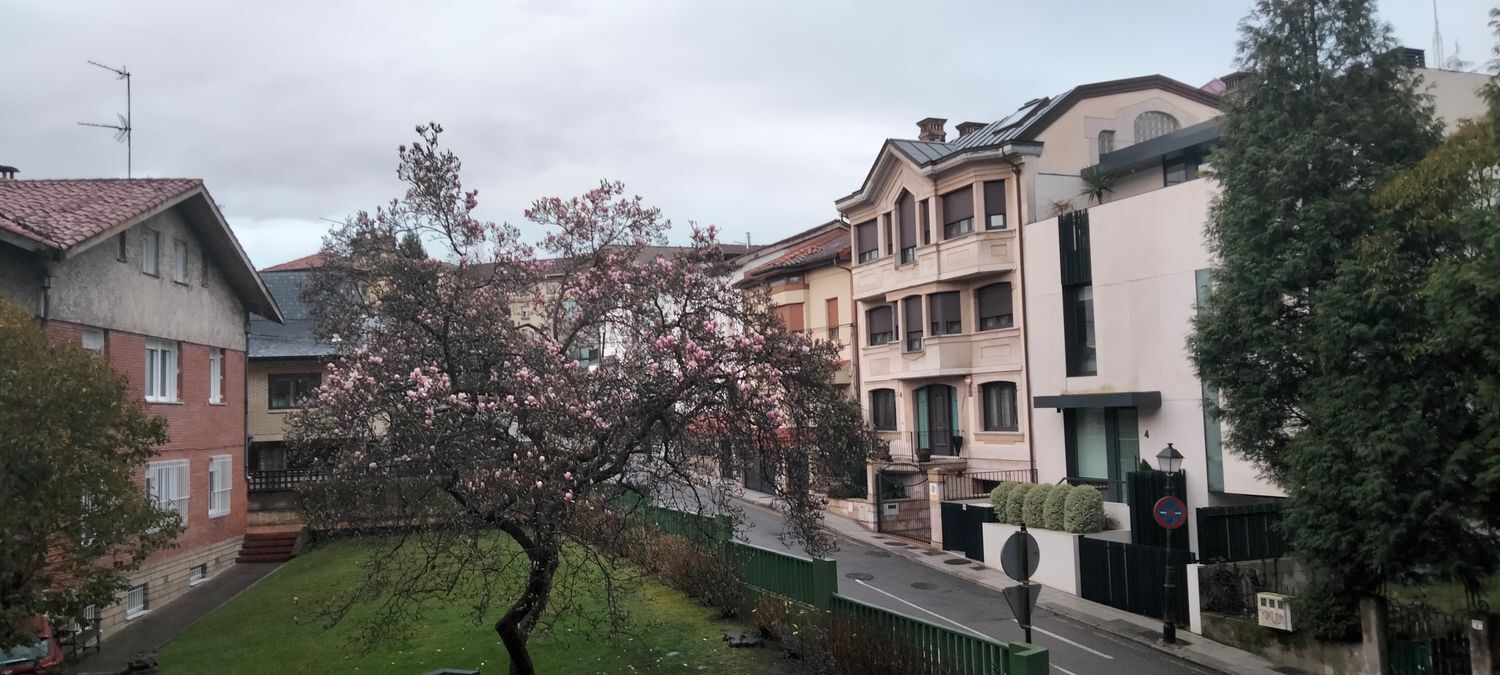 Pisos-Venta-Oviedo-1640799-Foto-58