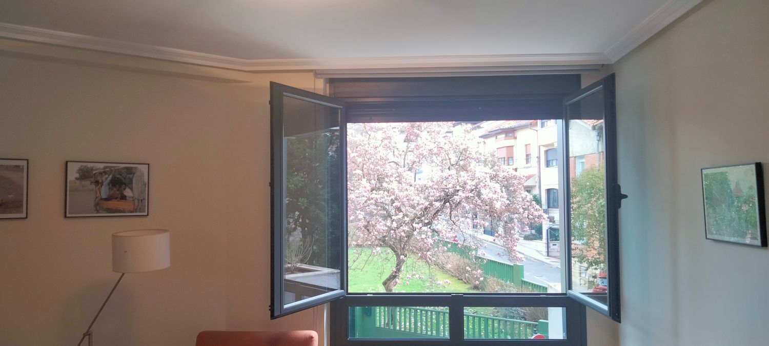 Pisos-Venta-Oviedo-1640799-Foto-69