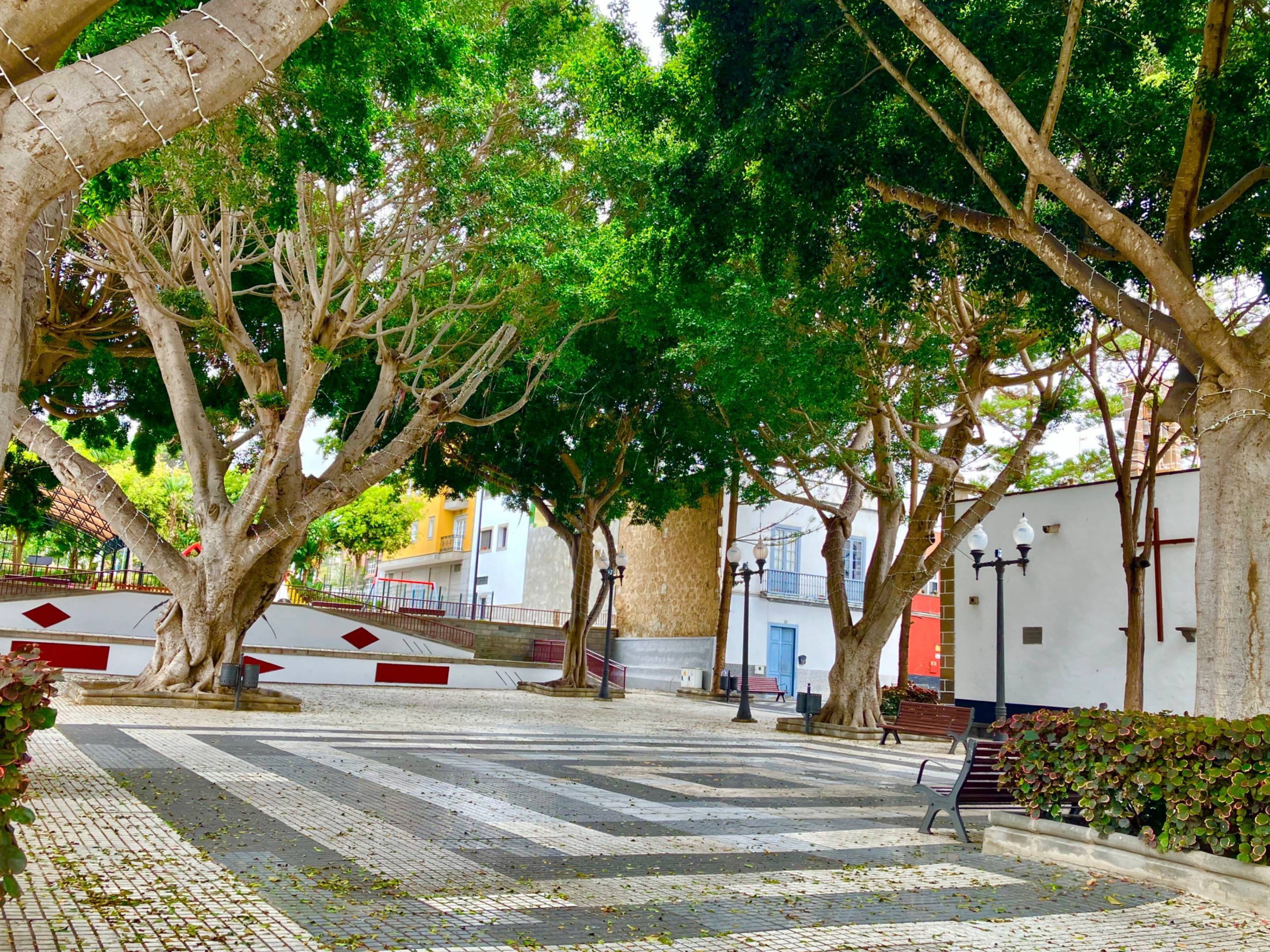 Casas o chalets-Venta-Las Palmas de Gran Canaria-1764327-Foto-39
