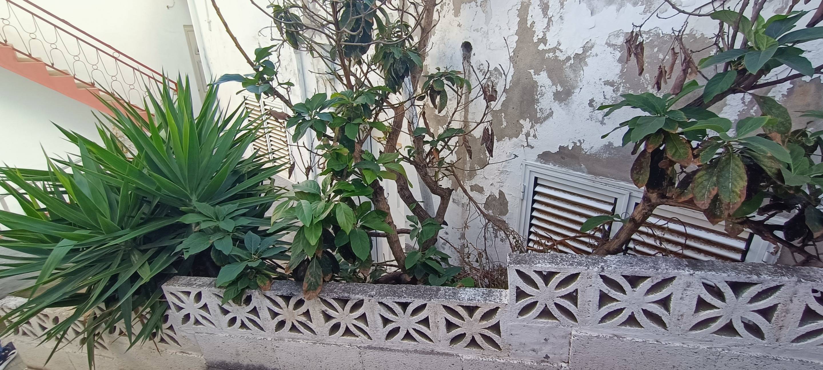 Pisos-Venta-San CristÃ³bal de La Laguna-1720281-Foto-12