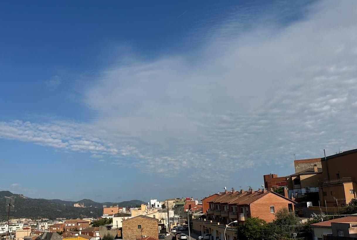 Fincas y solares-Venta-Sant VicenÃ§ dels Horts-1791755-Foto-9