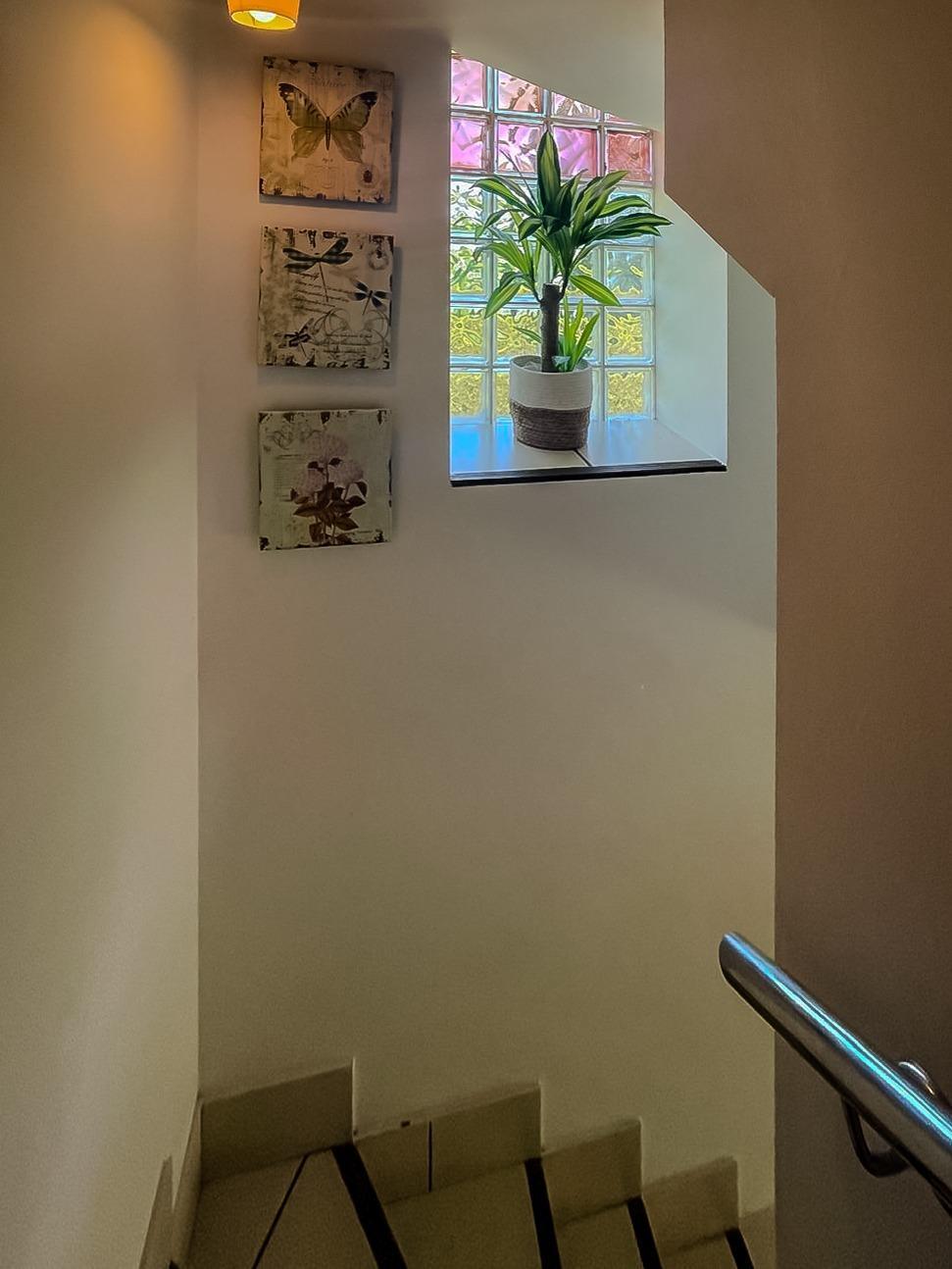 Casas o chalets-Venta-PiÃ©lagos-1831445-Foto-20