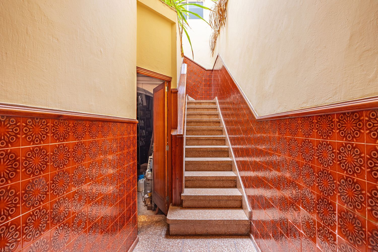 Casas o chalets-Venta-Las Palmas de Gran Canaria-1790748-Foto-6