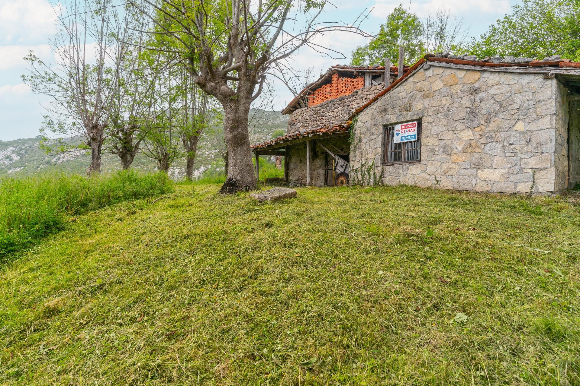 Pisos-Venta-Cangas de OnÃ­s-1790757-Foto-3