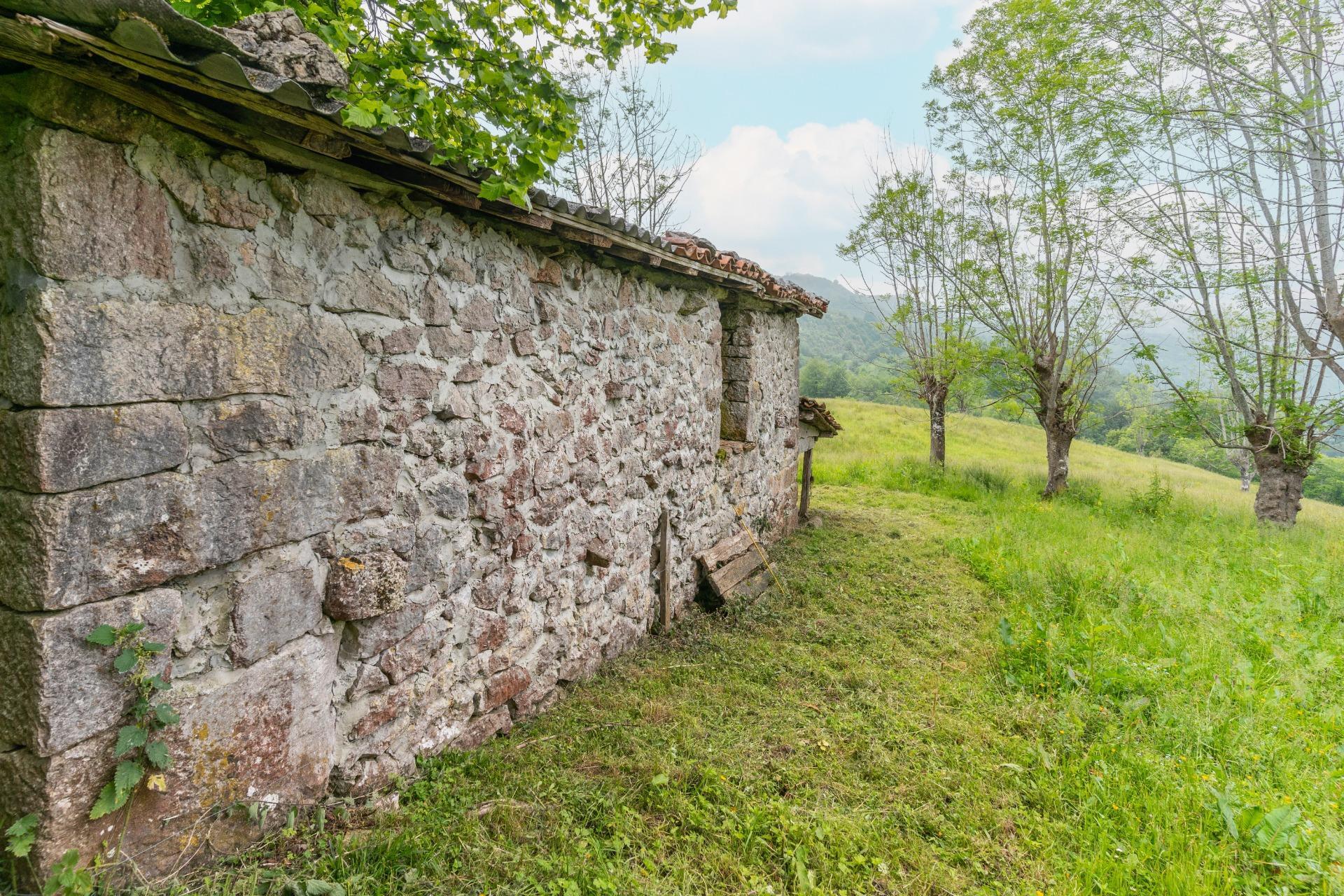 Pisos-Venta-Cangas de OnÃ­s-1790757-Foto-10