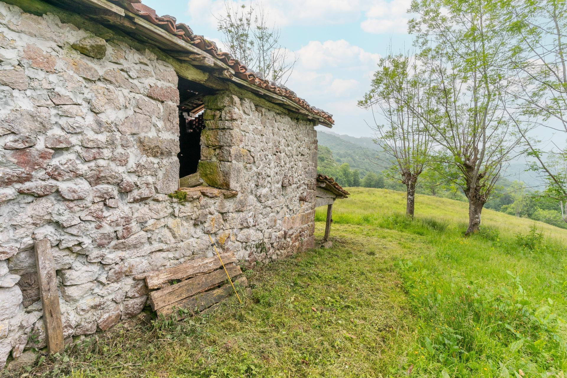 Pisos-Venta-Cangas de OnÃ­s-1790757-Foto-12