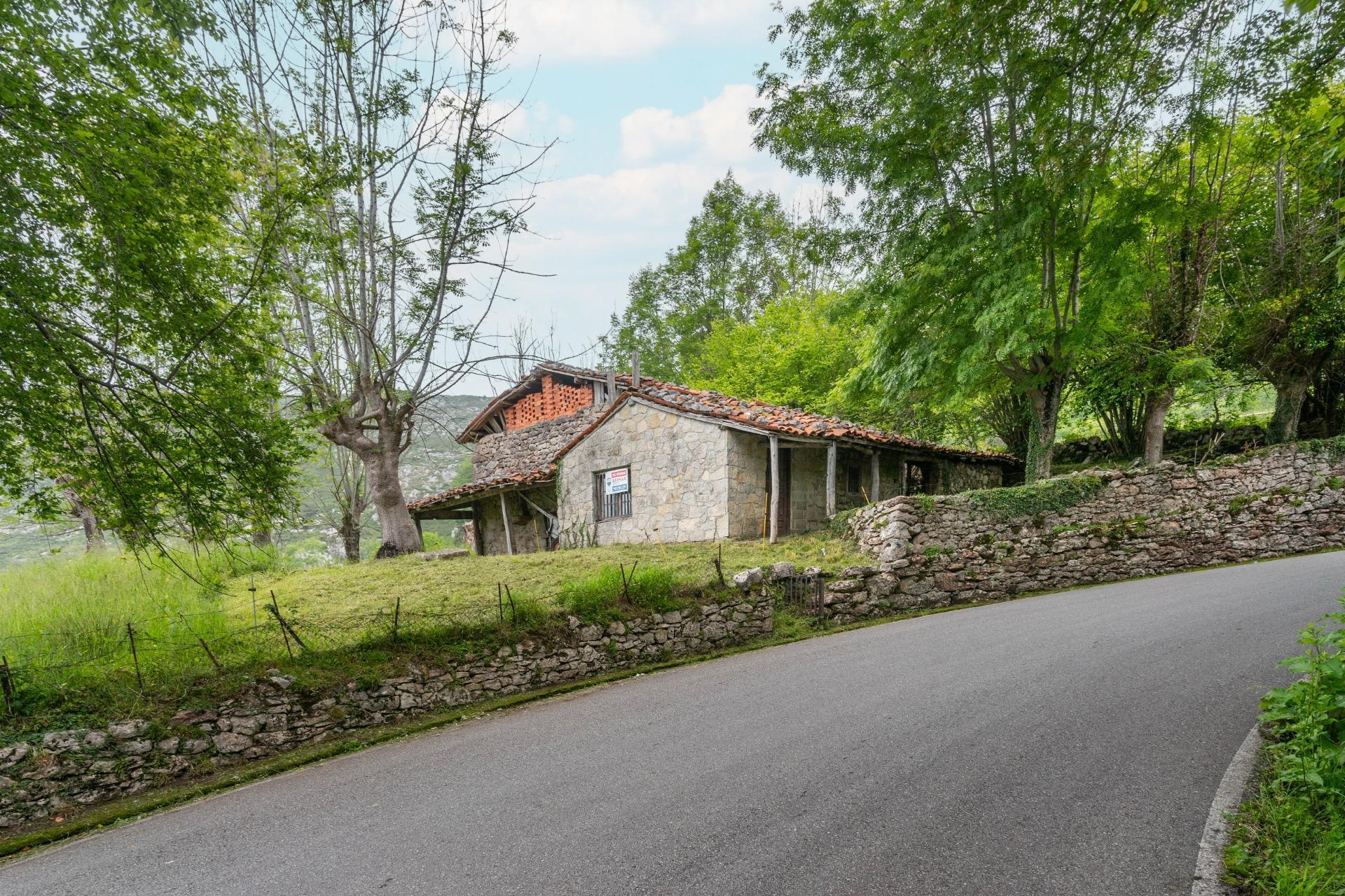 Pisos-Venta-Cangas de OnÃ­s-1790757-Foto-11
