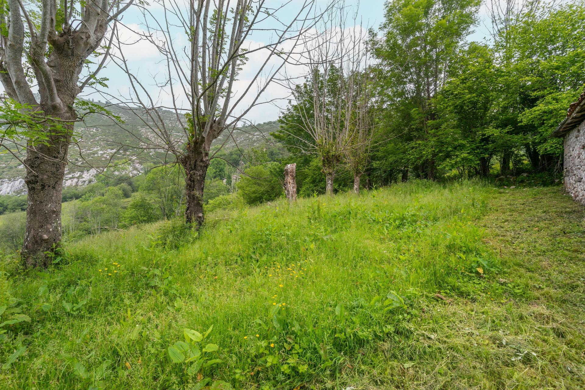 Pisos-Venta-Cangas de OnÃ­s-1790757-Foto-16