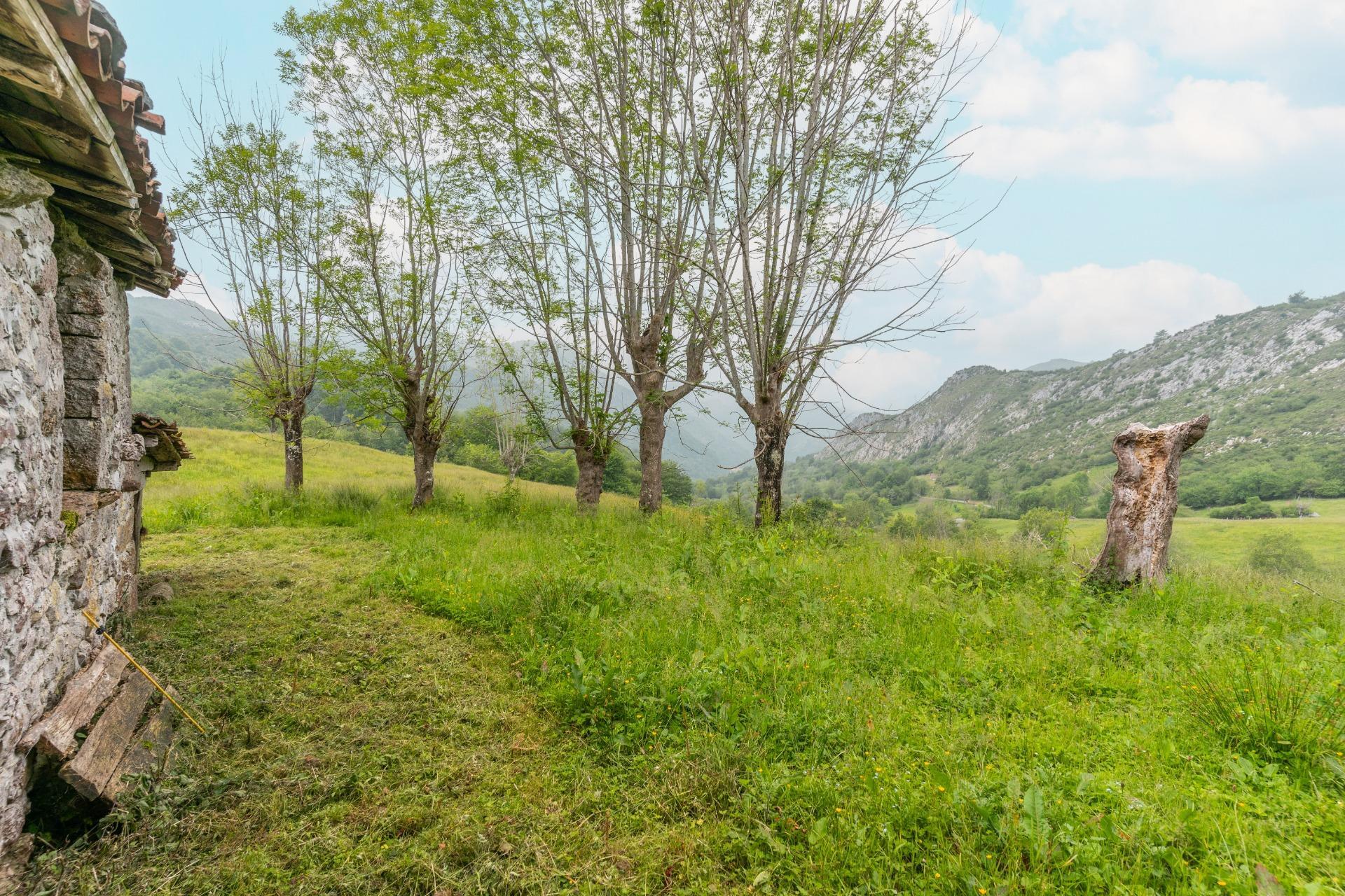 Pisos-Venta-Cangas de OnÃ­s-1790757-Foto-27