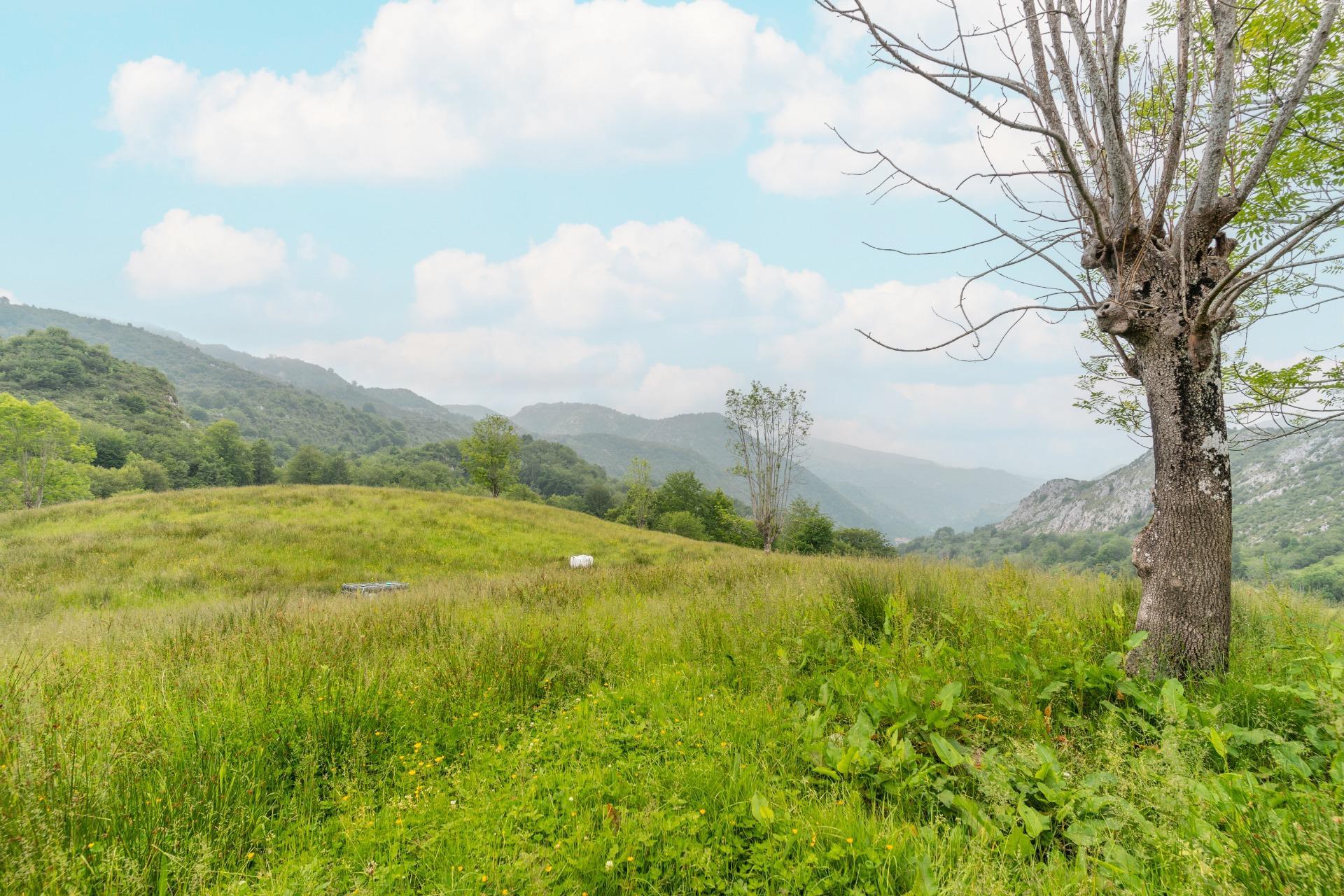 Pisos-Venta-Cangas de OnÃ­s-1790757-Foto-29