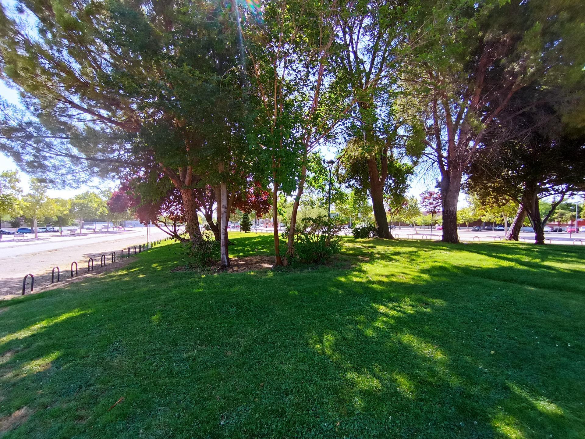 Casas o chalets-Venta-San Fernando de Henares-1746192-Foto-30