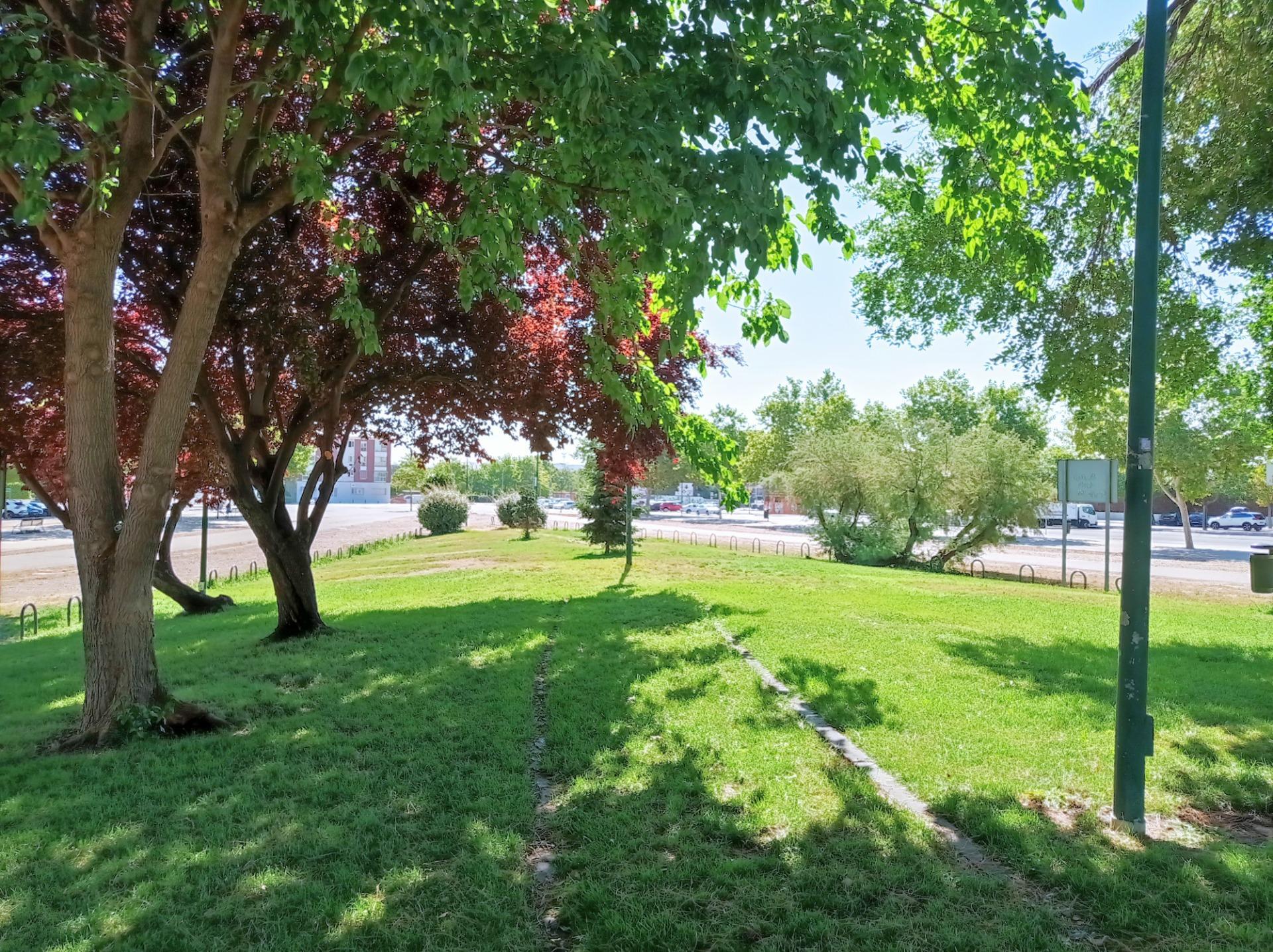 Casas o chalets-Venta-San Fernando de Henares-1746192-Foto-31