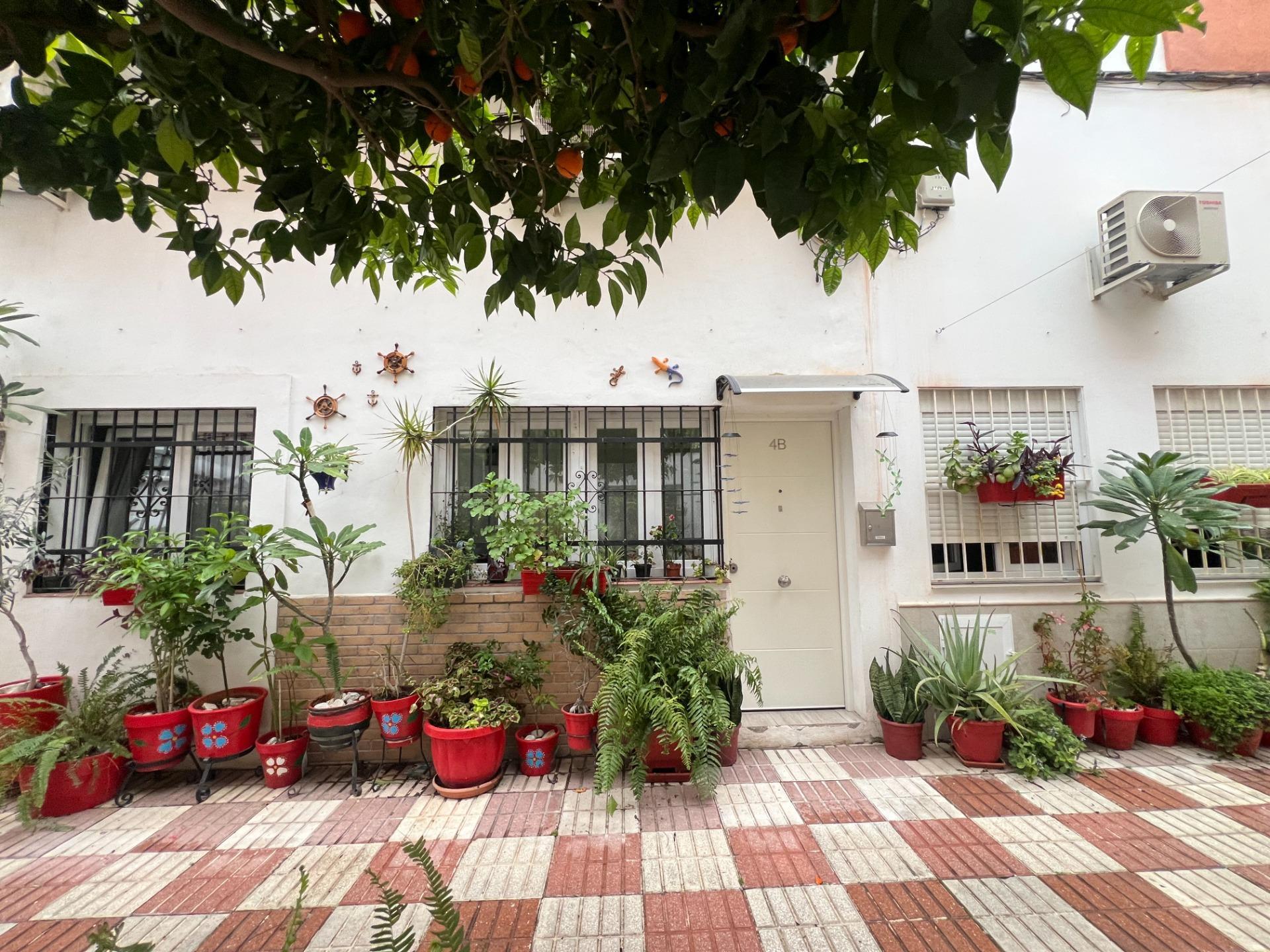 Pisos-Venta-BenalmÃ¡dena-1683642-Foto-16