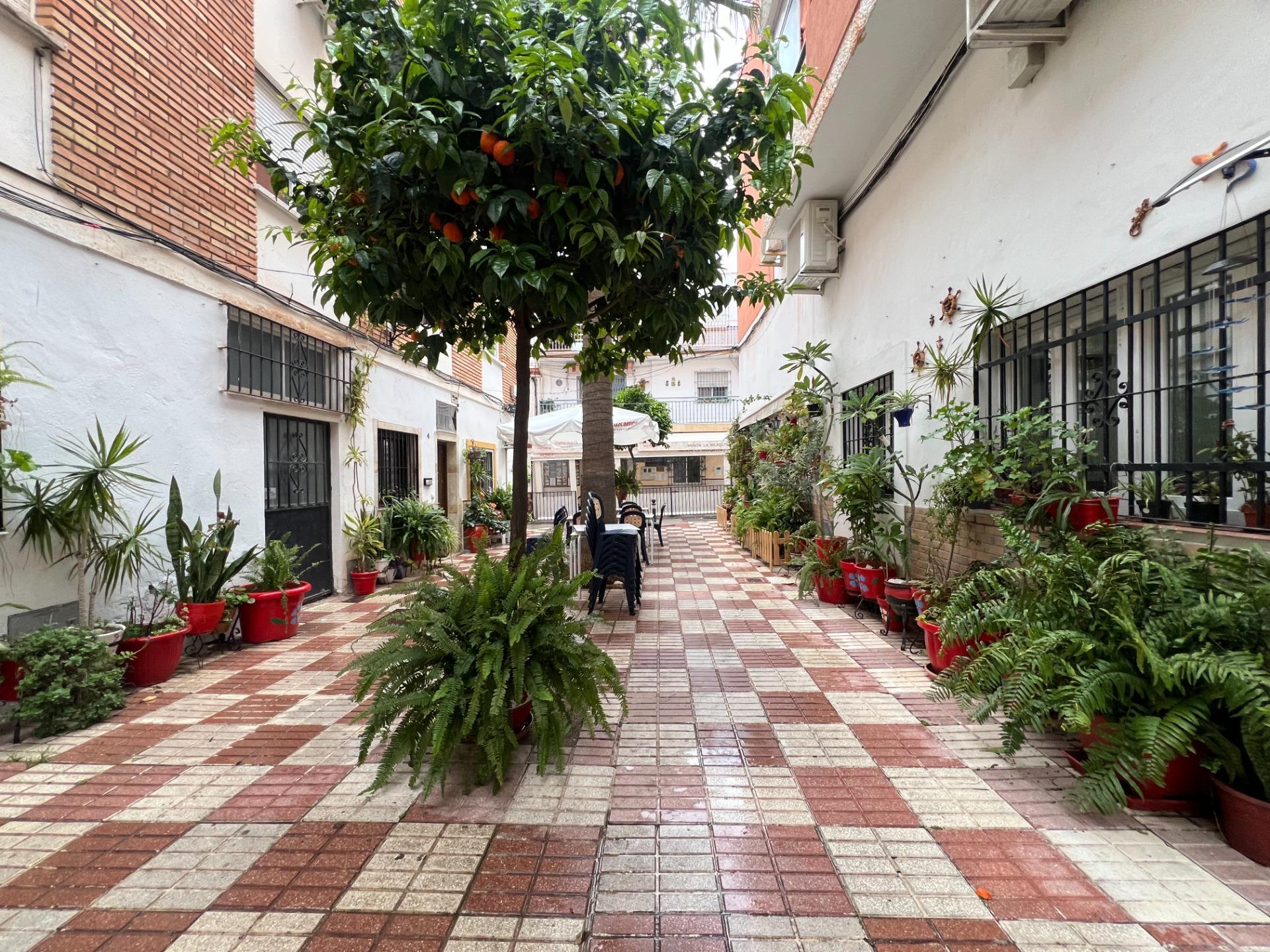 Pisos-Venta-BenalmÃ¡dena-1683642-Foto-26