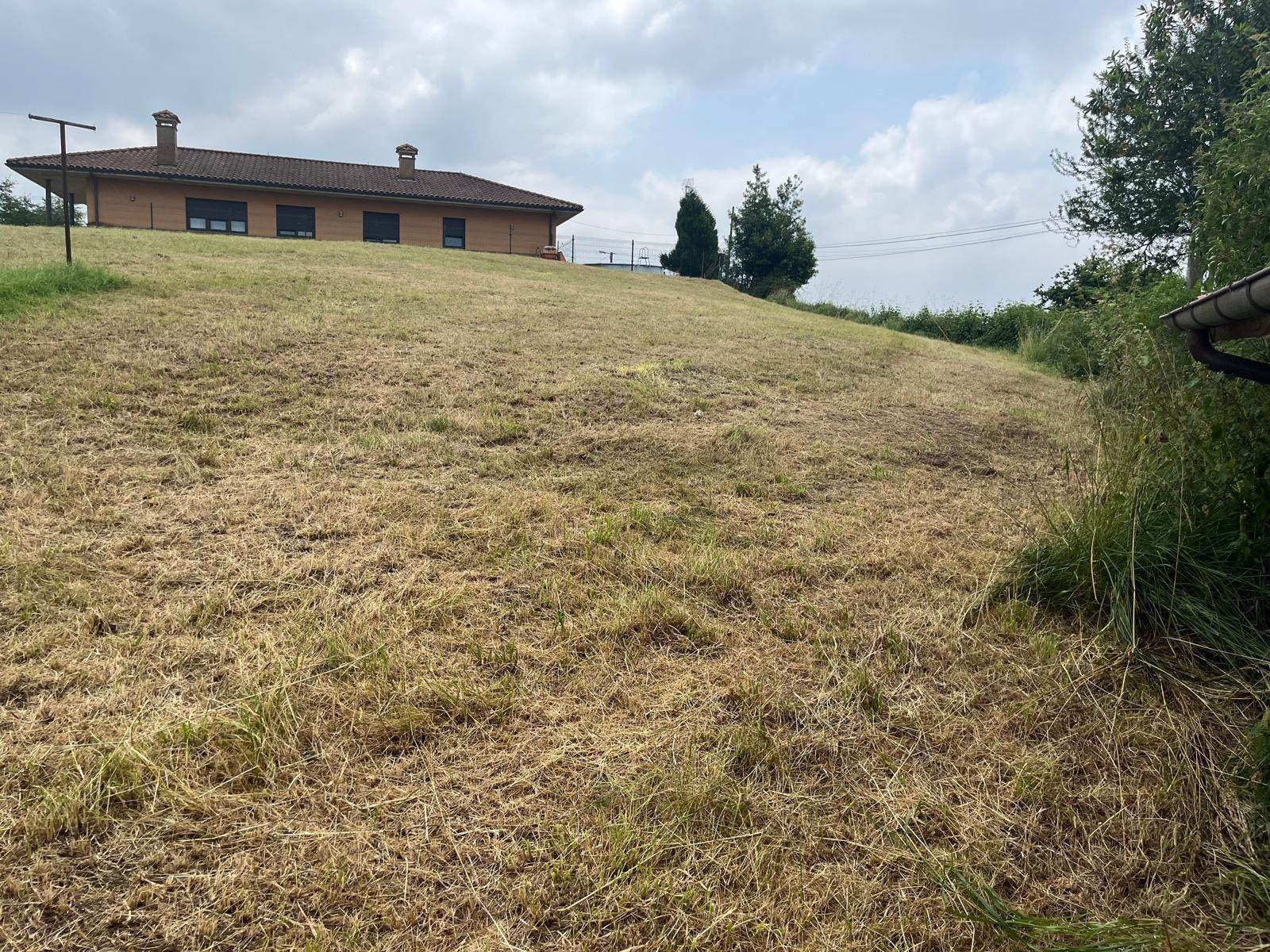 Fincas y solares-Venta-Siero-1742713-Foto-4