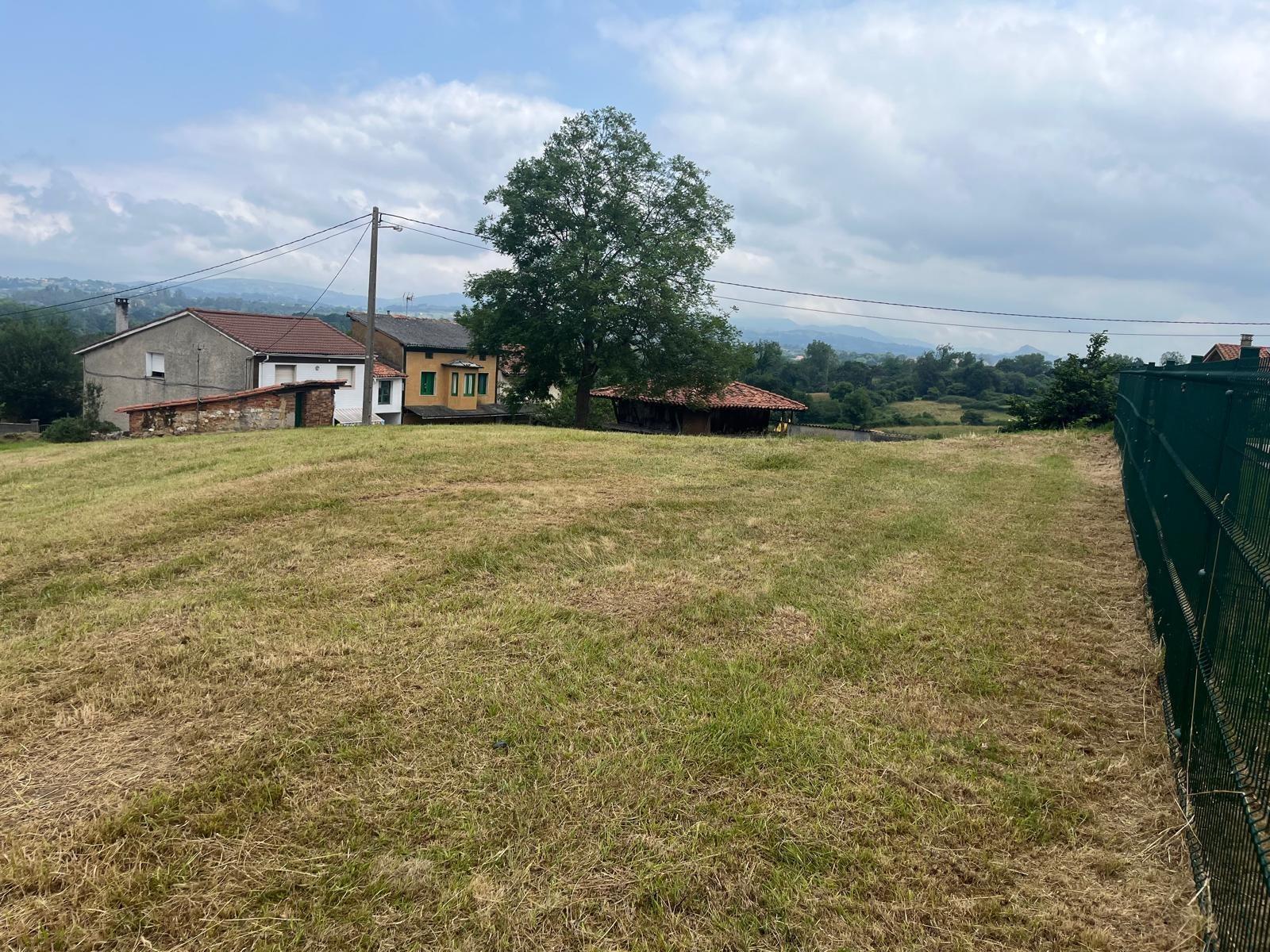 Fincas y solares-Venta-Siero-1742713-Foto-6