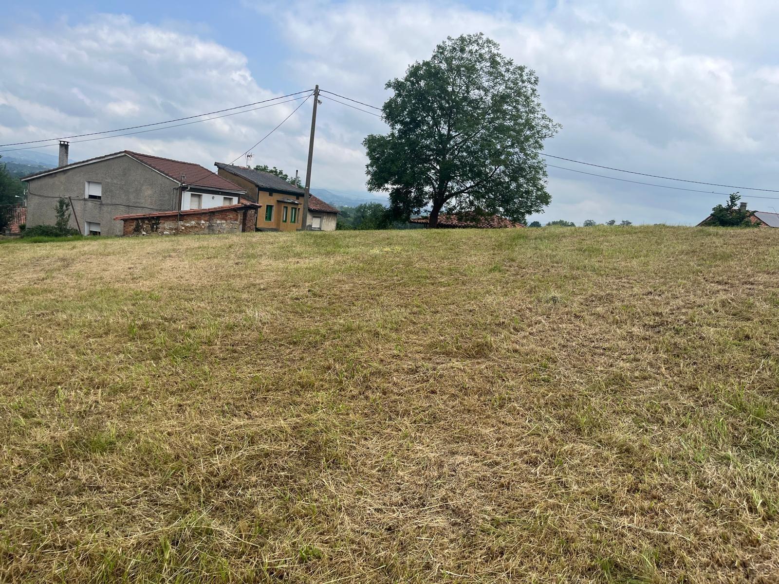 Fincas y solares-Venta-Siero-1742713-Foto-7