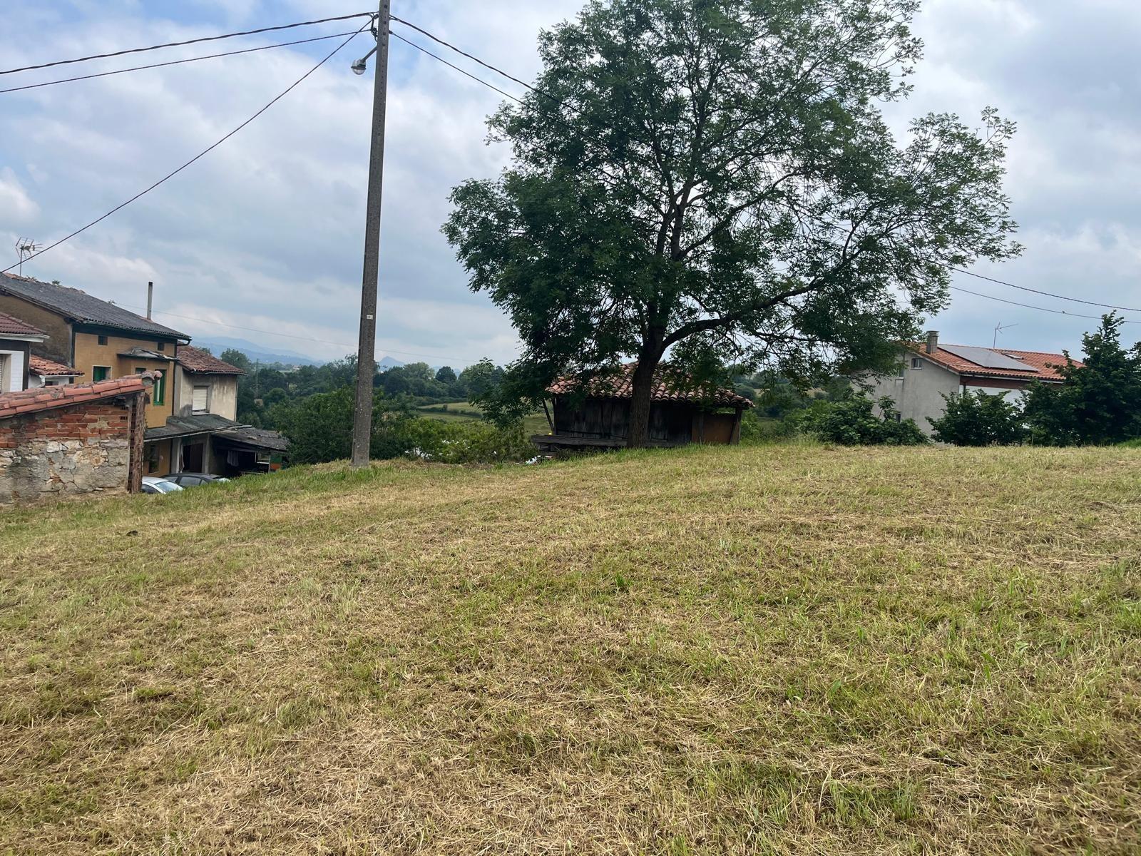 Fincas y solares-Venta-Siero-1742713-Foto-9