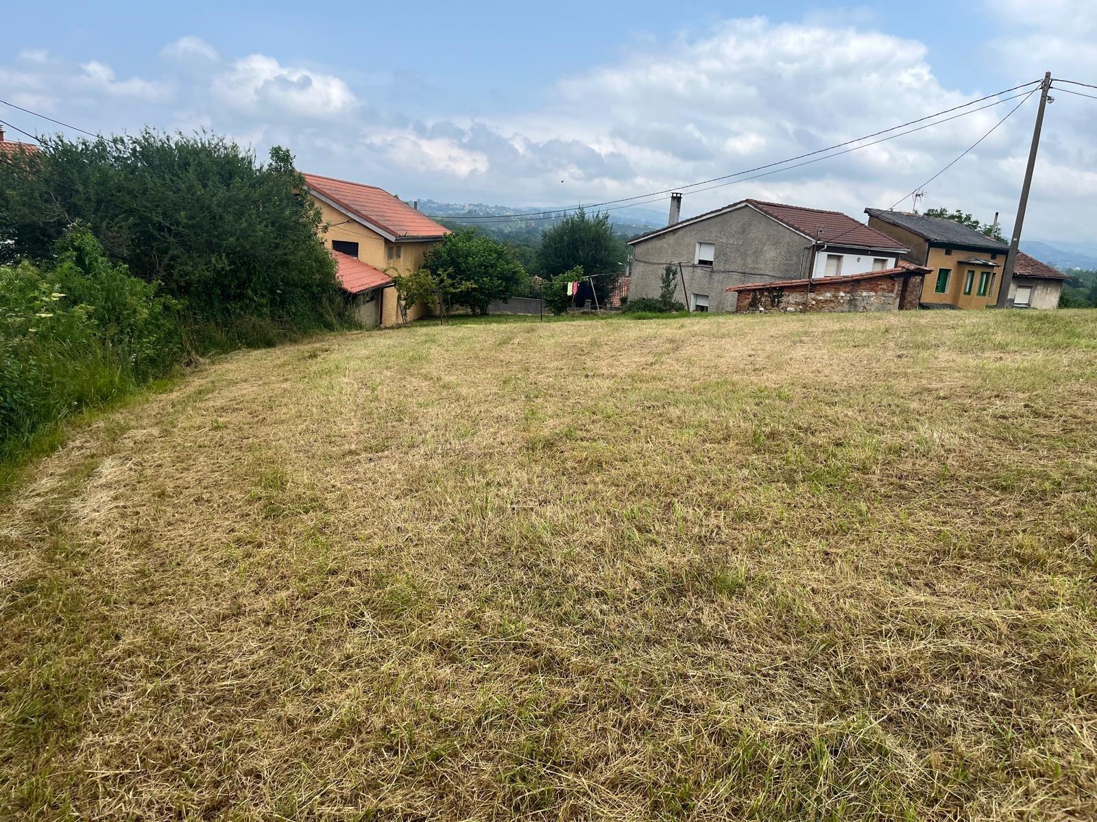 Fincas y solares-Venta-Siero-1742713-Foto-8