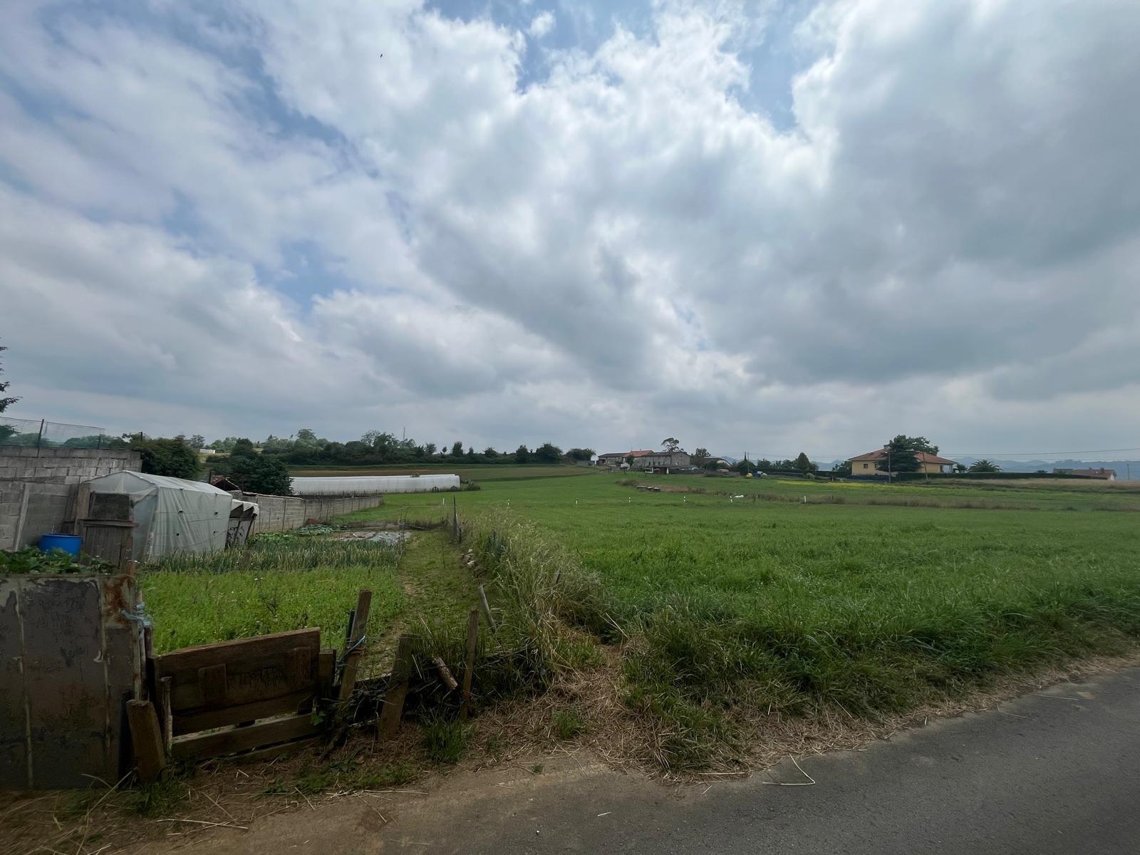 Fincas y solares-Venta-Siero-1742713-Foto-19