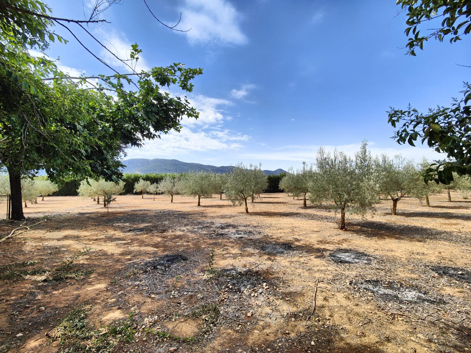 Casas o chalets-Venta-Banyeres de Mariola-1743022-Foto-21