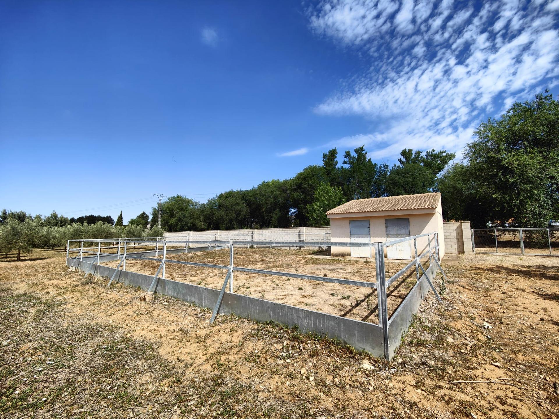 Casas o chalets-Venta-Banyeres de Mariola-1743022-Foto-20