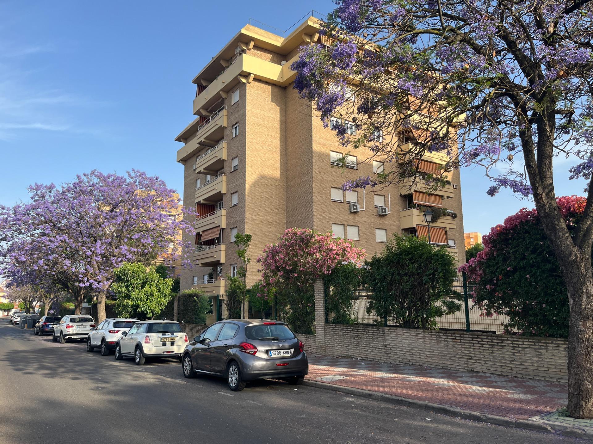 Pisos-Venta-Tomares-1722868-Foto-40