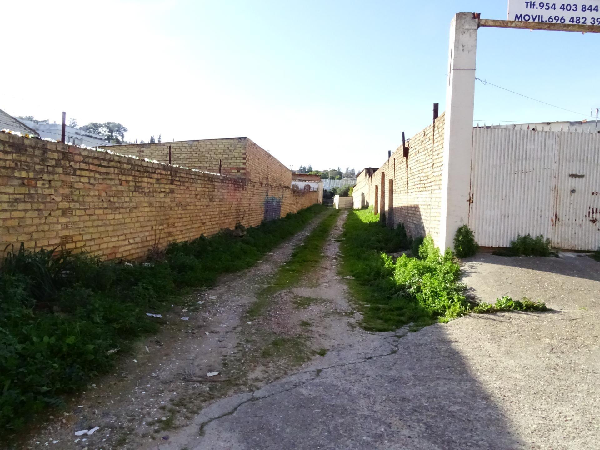 Fincas y solares-Venta-Tomares-1656094-Foto-10