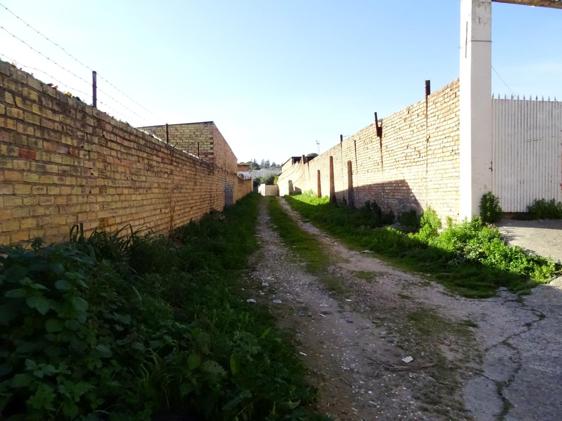 Fincas y solares-Venta-Tomares-1656094-Foto-11
