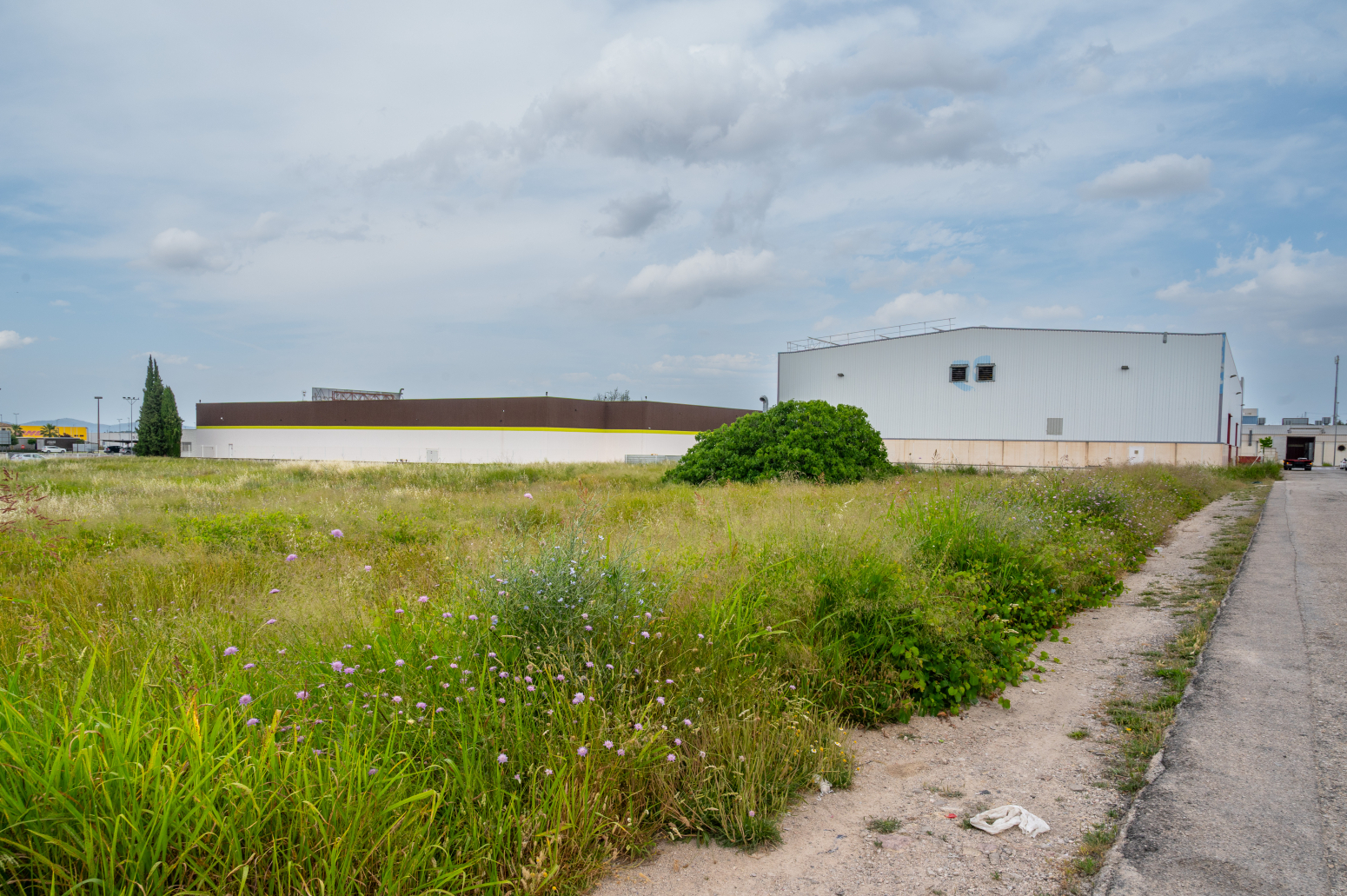 Fincas y solares-Venta-Ontinyent-1790778-Foto-3