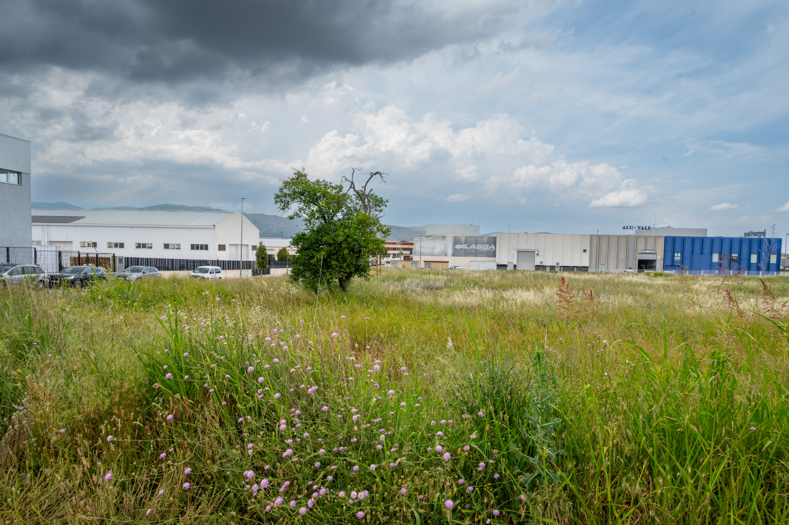 Fincas y solares-Venta-Ontinyent-1790778-Foto-4