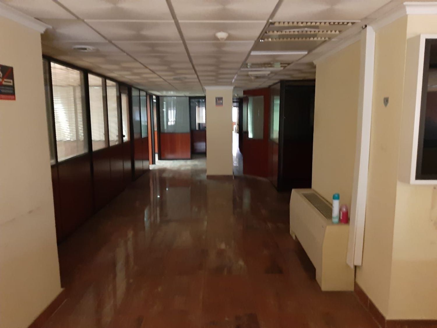 Negocios-Venta-CastellÃ³n-CastellÃ³n de la Plana-1793315-Foto-13