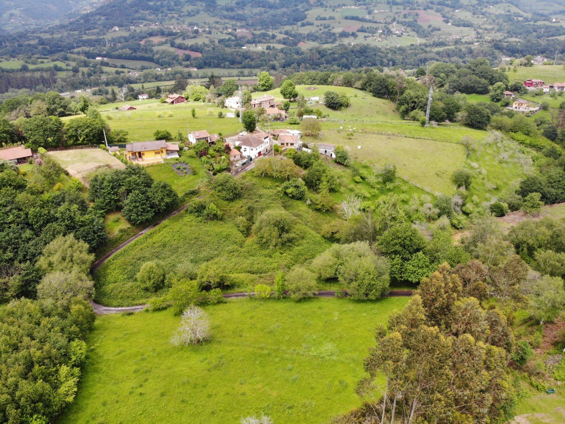 Fincas y solares-Venta-Piloña-1791207