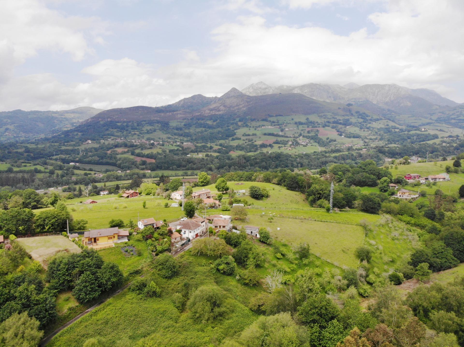 Fincas y solares-Venta-PiloÃ±a-1791207-Foto-2