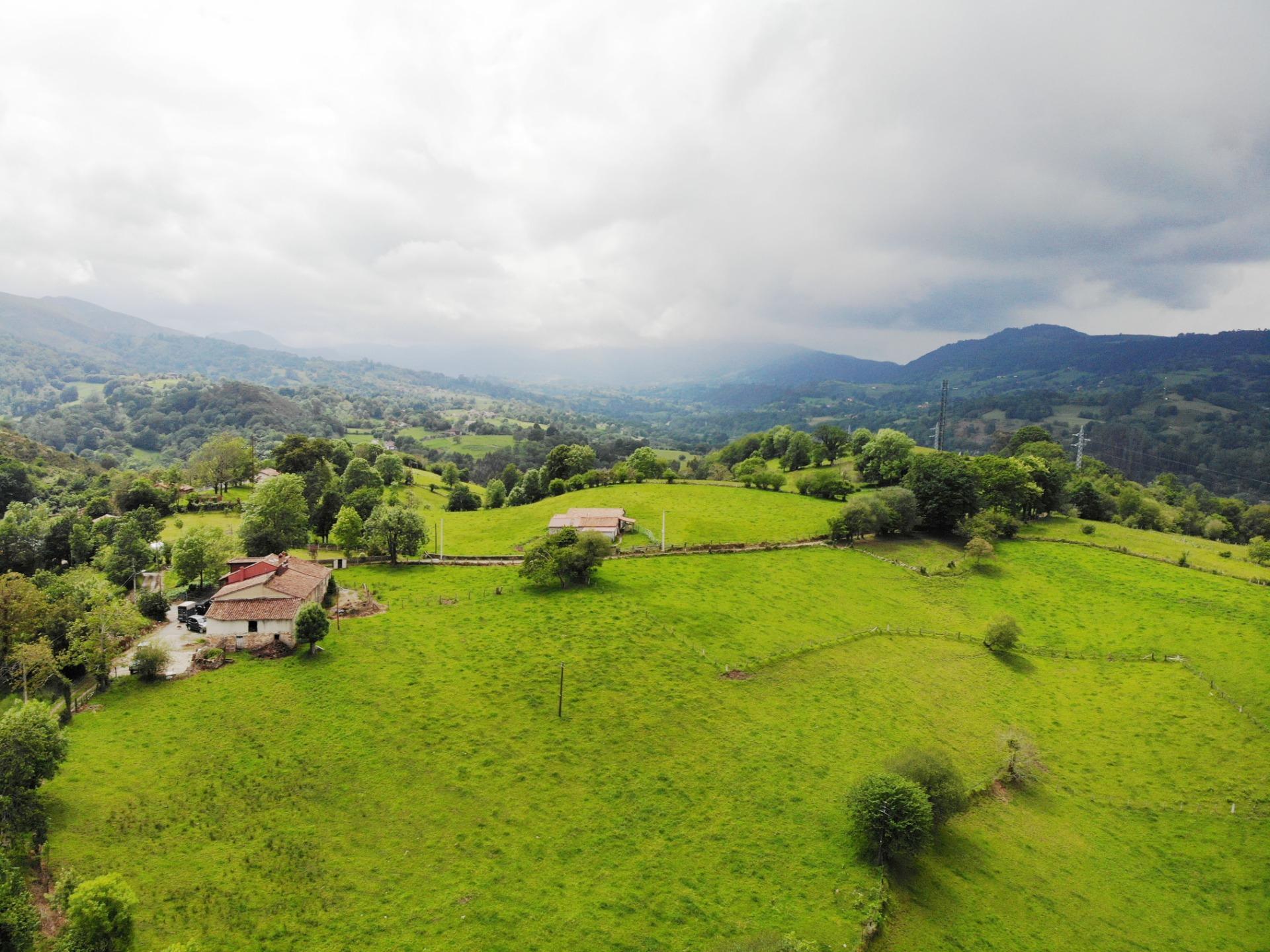 Fincas y solares-Venta-PiloÃ±a-1791207-Foto-6
