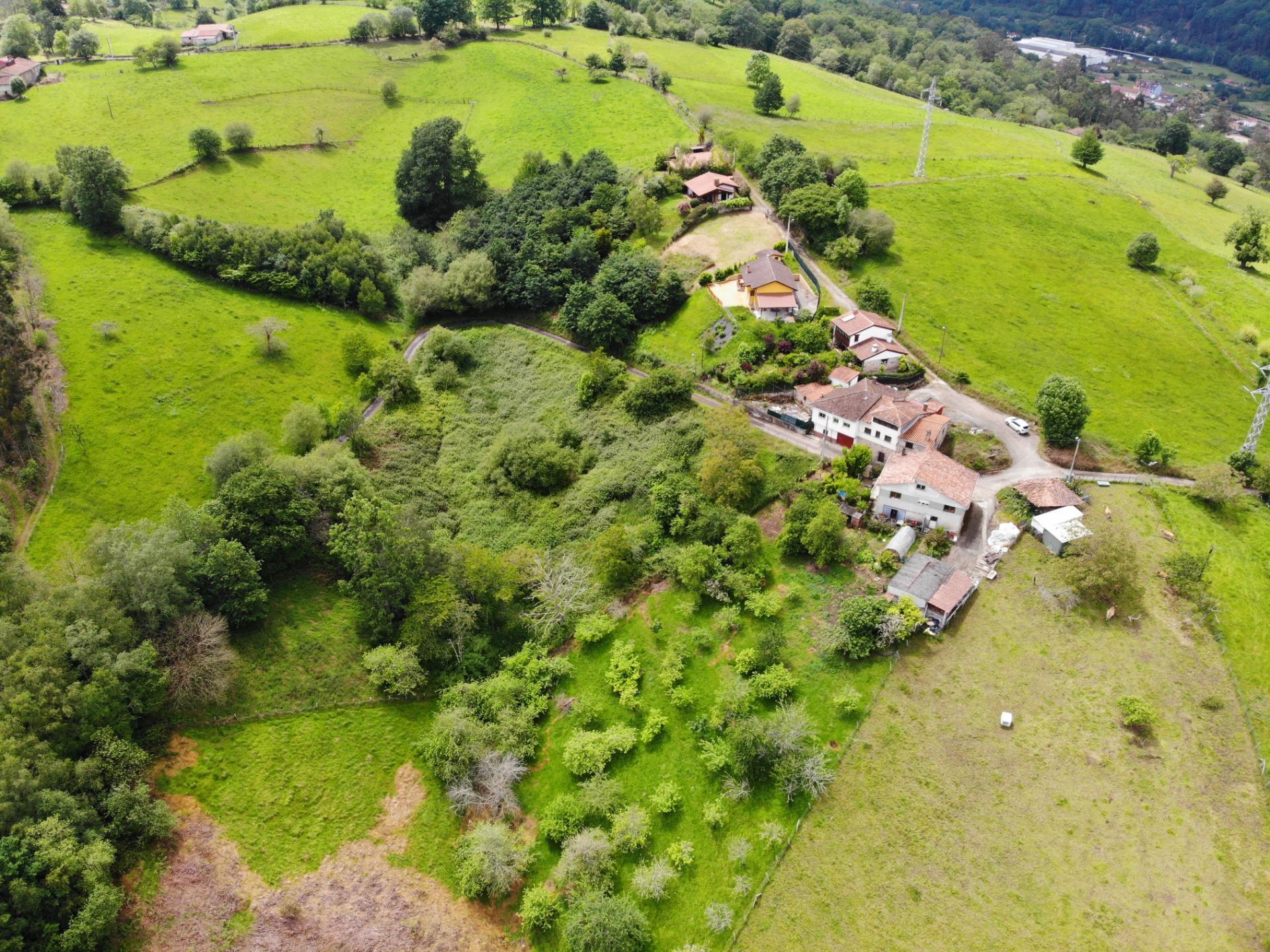 Fincas y solares-Venta-PiloÃ±a-1791207-Foto-9