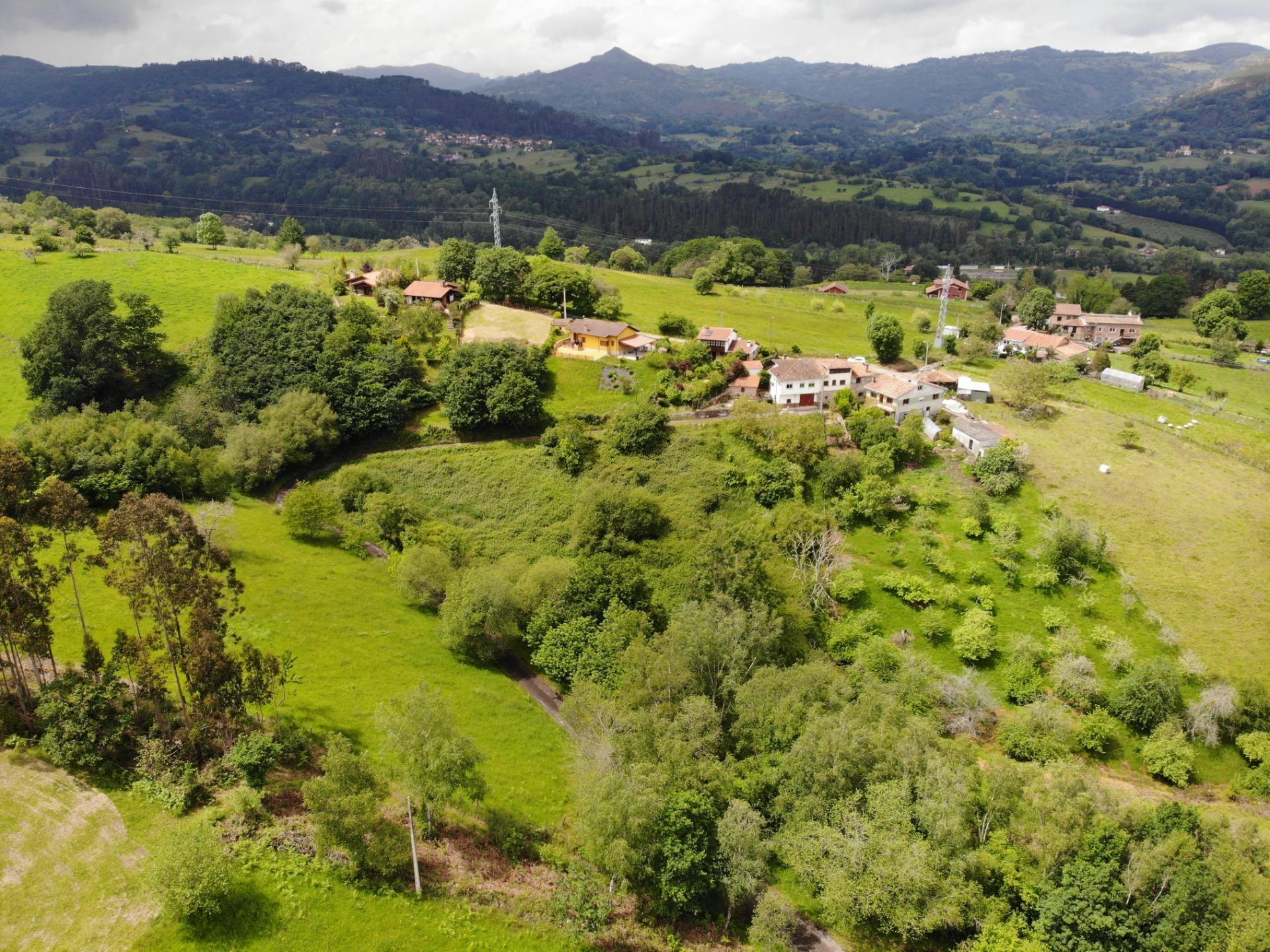 Fincas y solares-Venta-PiloÃ±a-1791207-Foto-14
