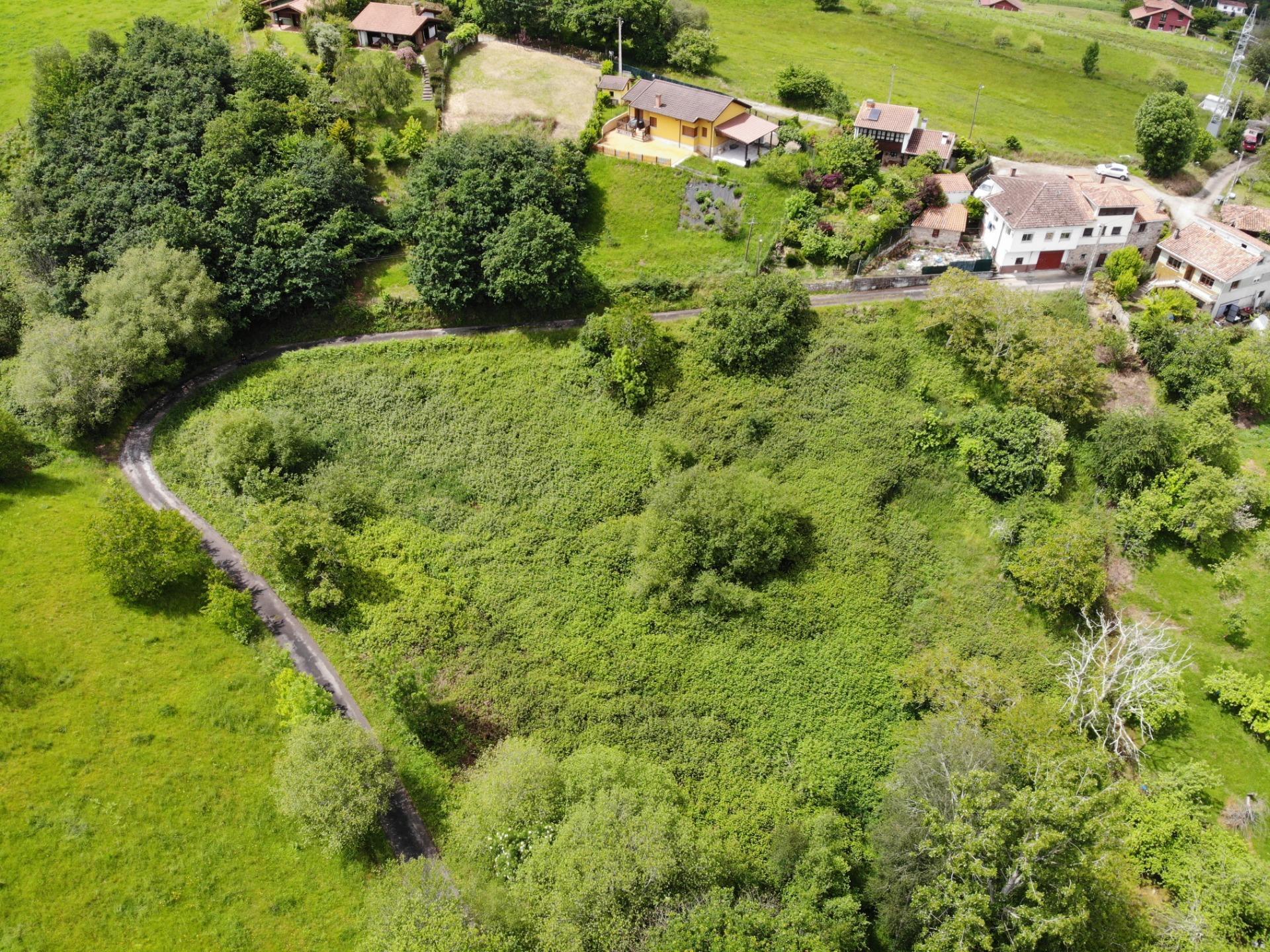 Fincas y solares-Venta-PiloÃ±a-1791207-Foto-15