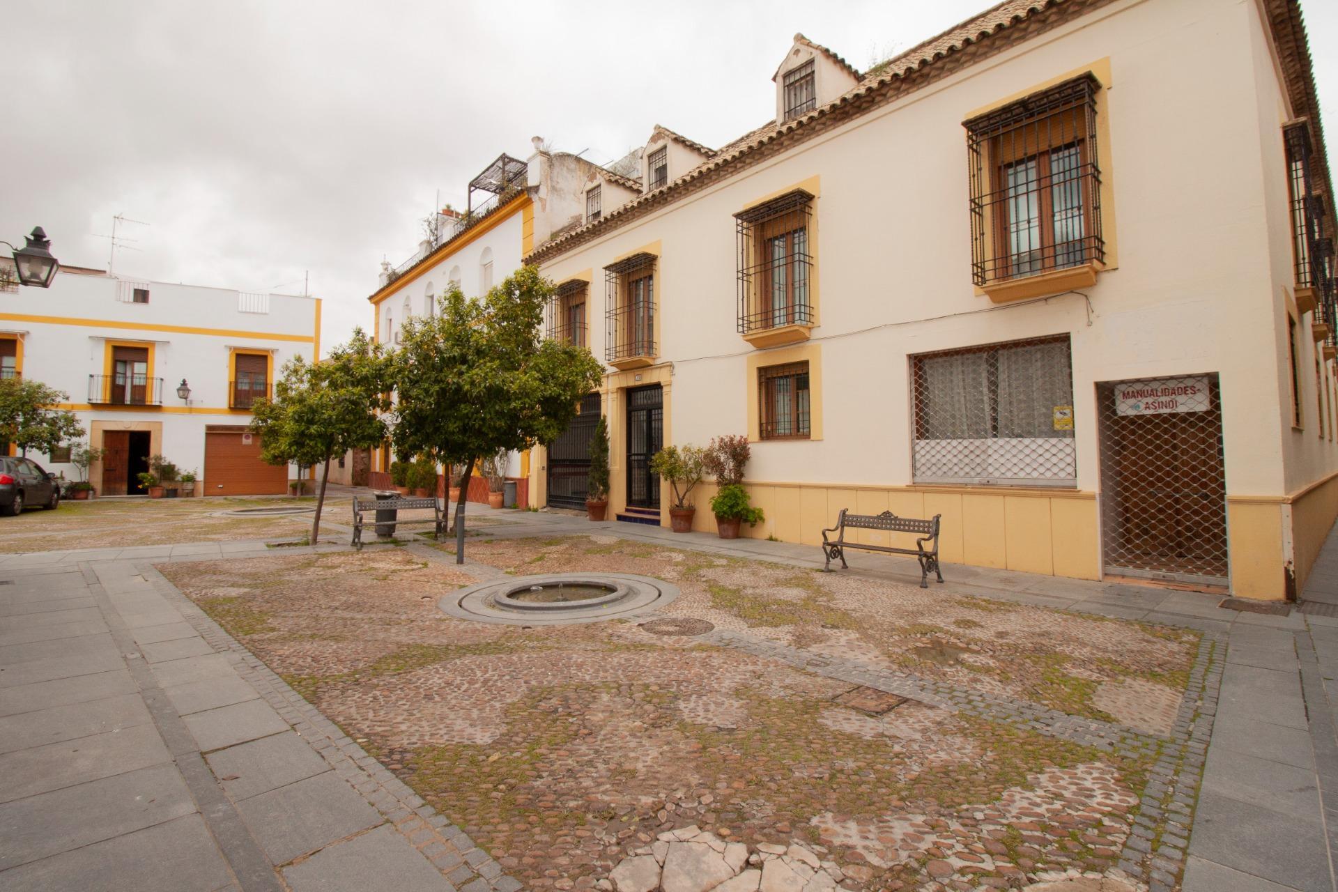 Fincas y solares-Venta-CÃ³rdoba-1683570-Foto-6