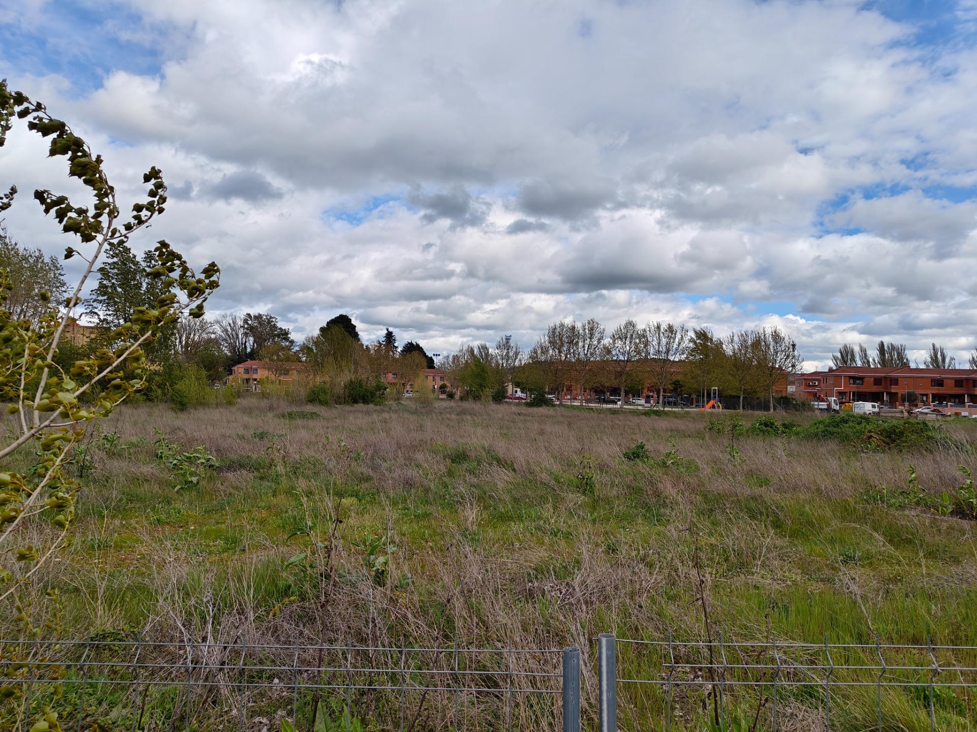 Fincas y solares-Venta-El Pobo de DueÃ±as-1791222-Foto-3