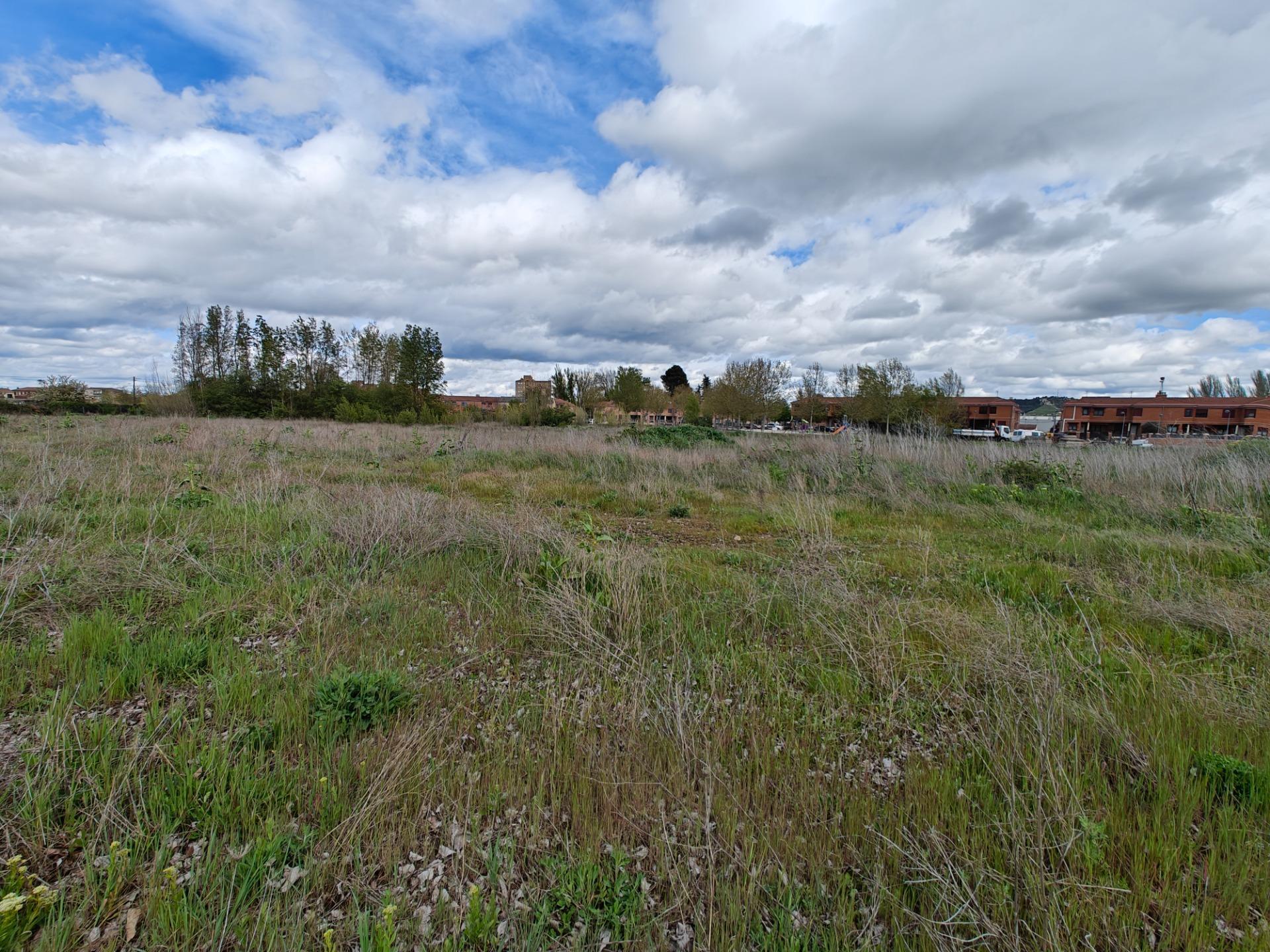 Fincas y solares-Venta-El Pobo de DueÃ±as-1791222-Foto-2