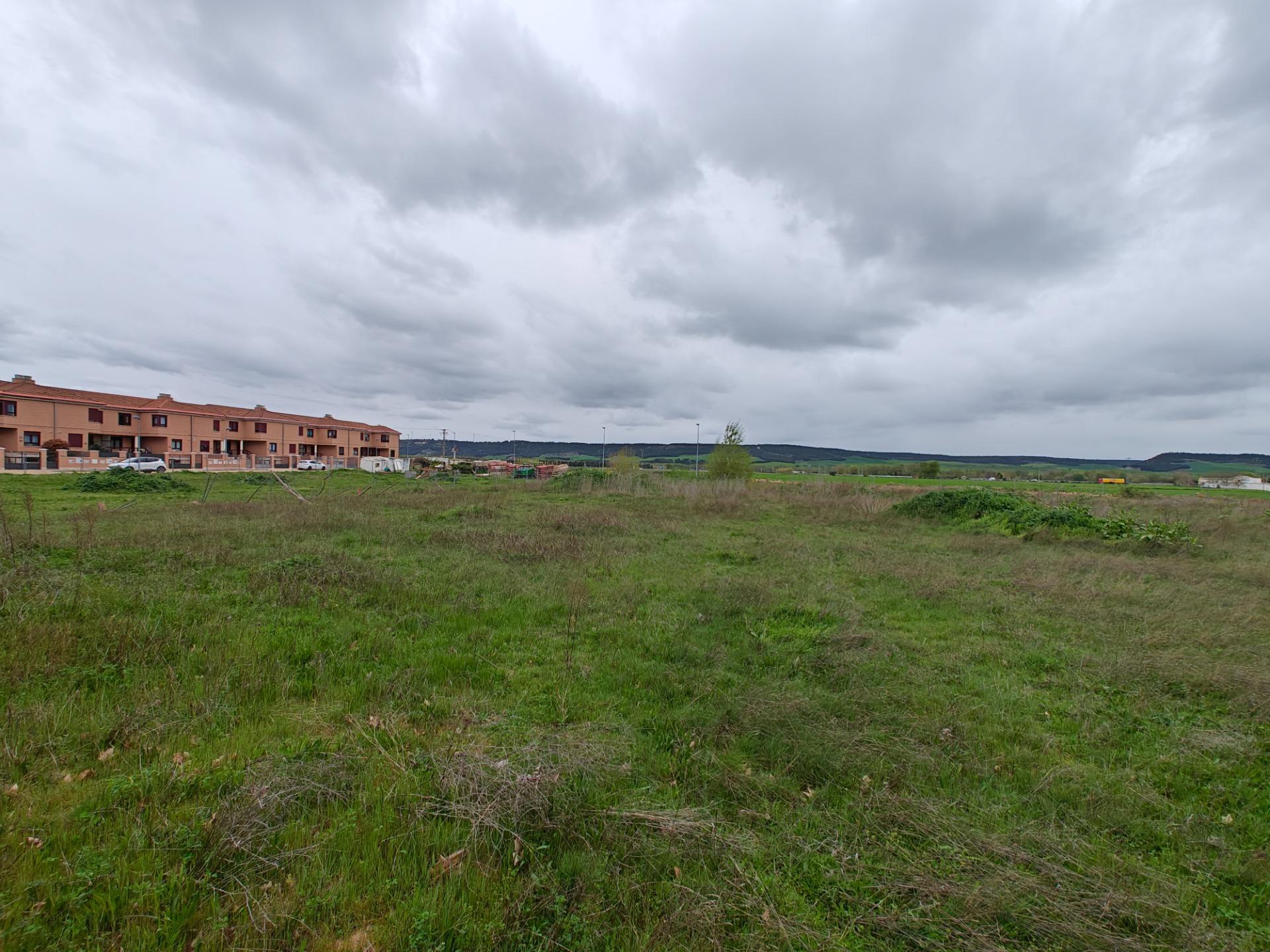 Fincas y solares-Venta-El Pobo de DueÃ±as-1791222-Foto-22