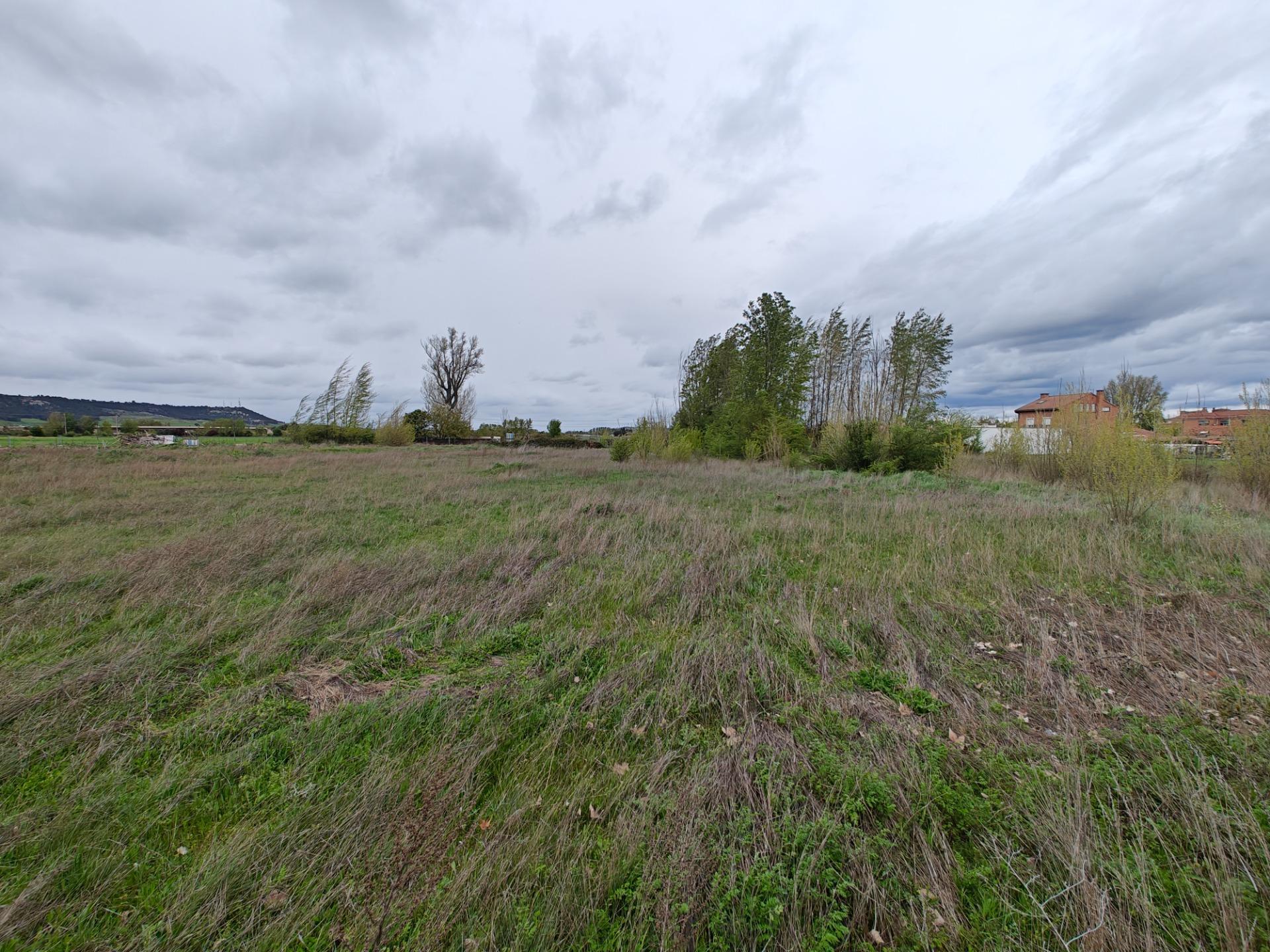 Fincas y solares-Venta-El Pobo de DueÃ±as-1791222-Foto-18