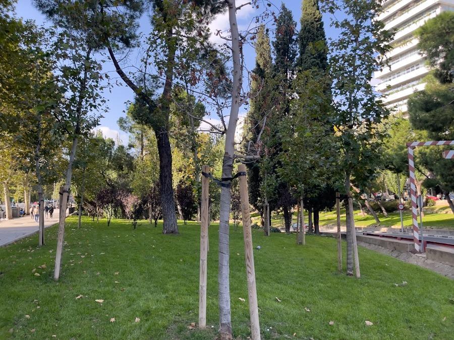 Negocios-Alquiler-Madrid-1791225-Foto-22