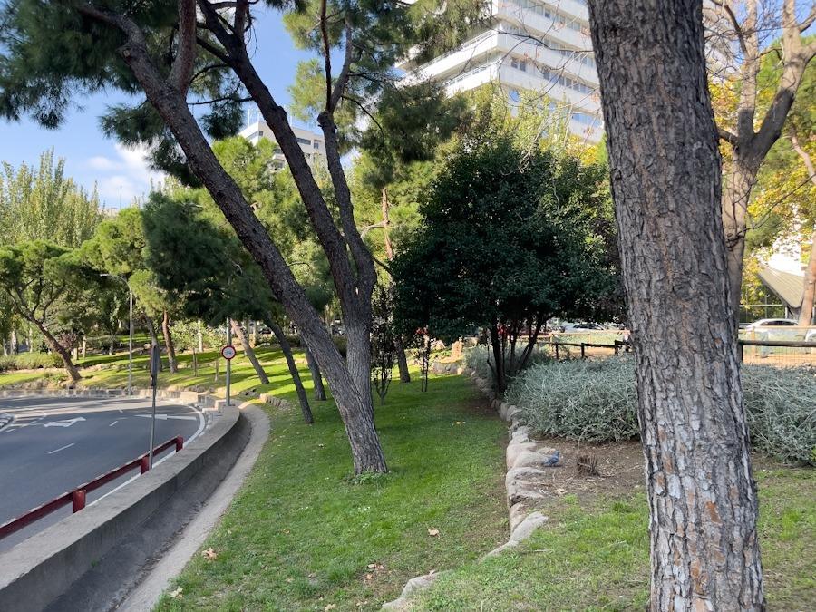 Negocios-Alquiler-Madrid-1791225-Foto-24
